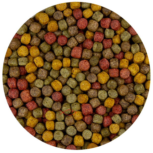 Multi Mix 6 mm 10 kg