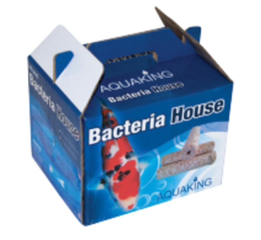 AquaKingstone Bacterial House 40x170mm ±3,5 kg