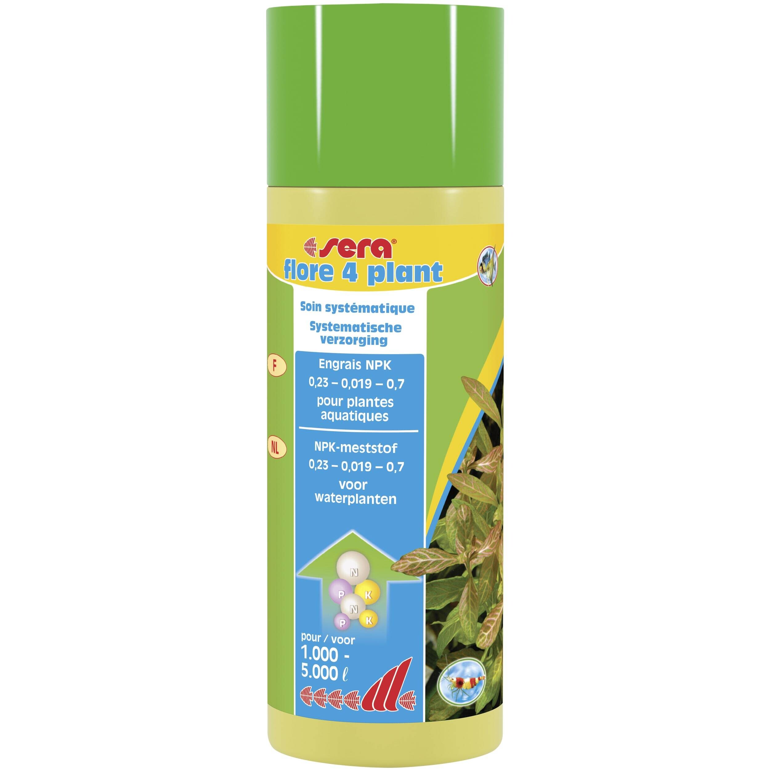 Herbal, Herbs, Plant, Bottle