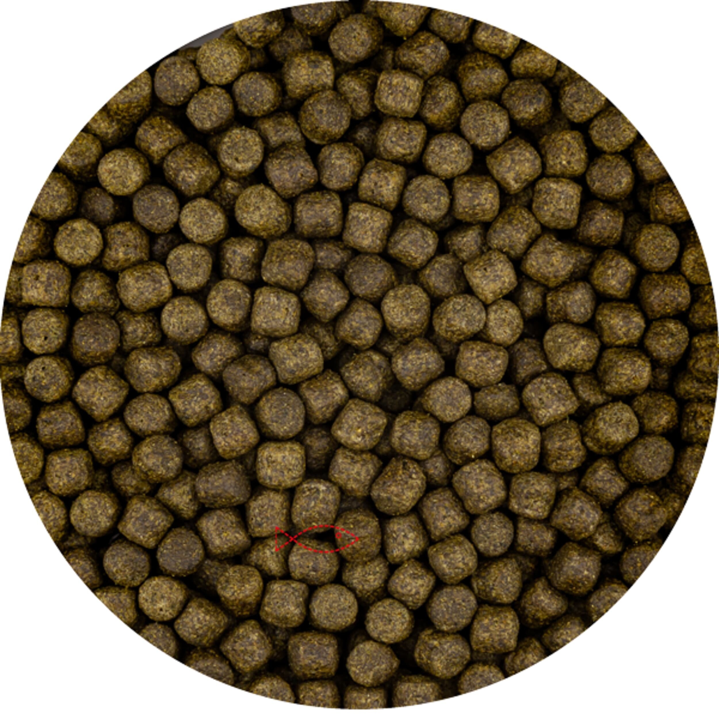 Color with Spirulina 6mm (15 kilos of bag)