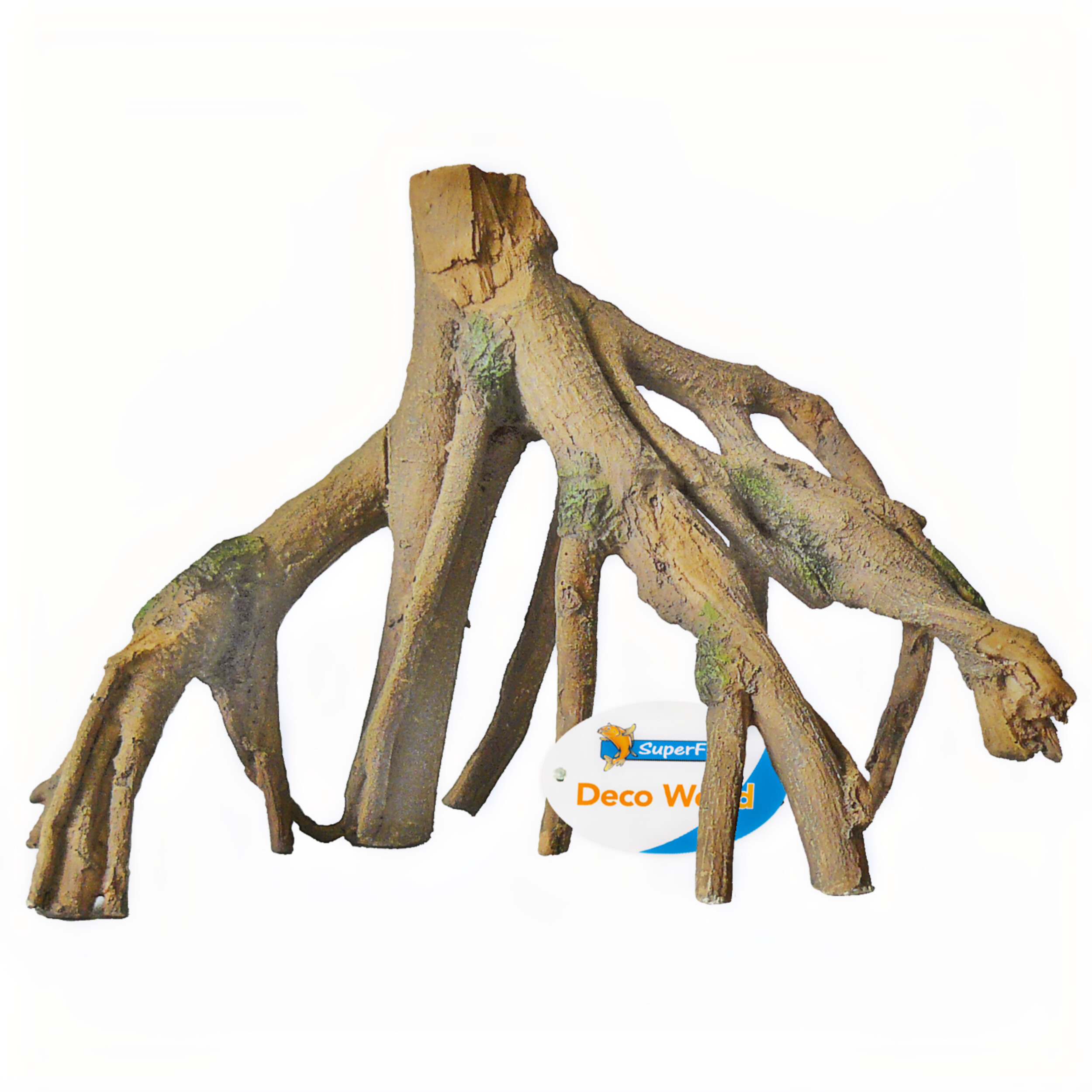 Wood, Plant, Tree, Dinosaur, Reptile