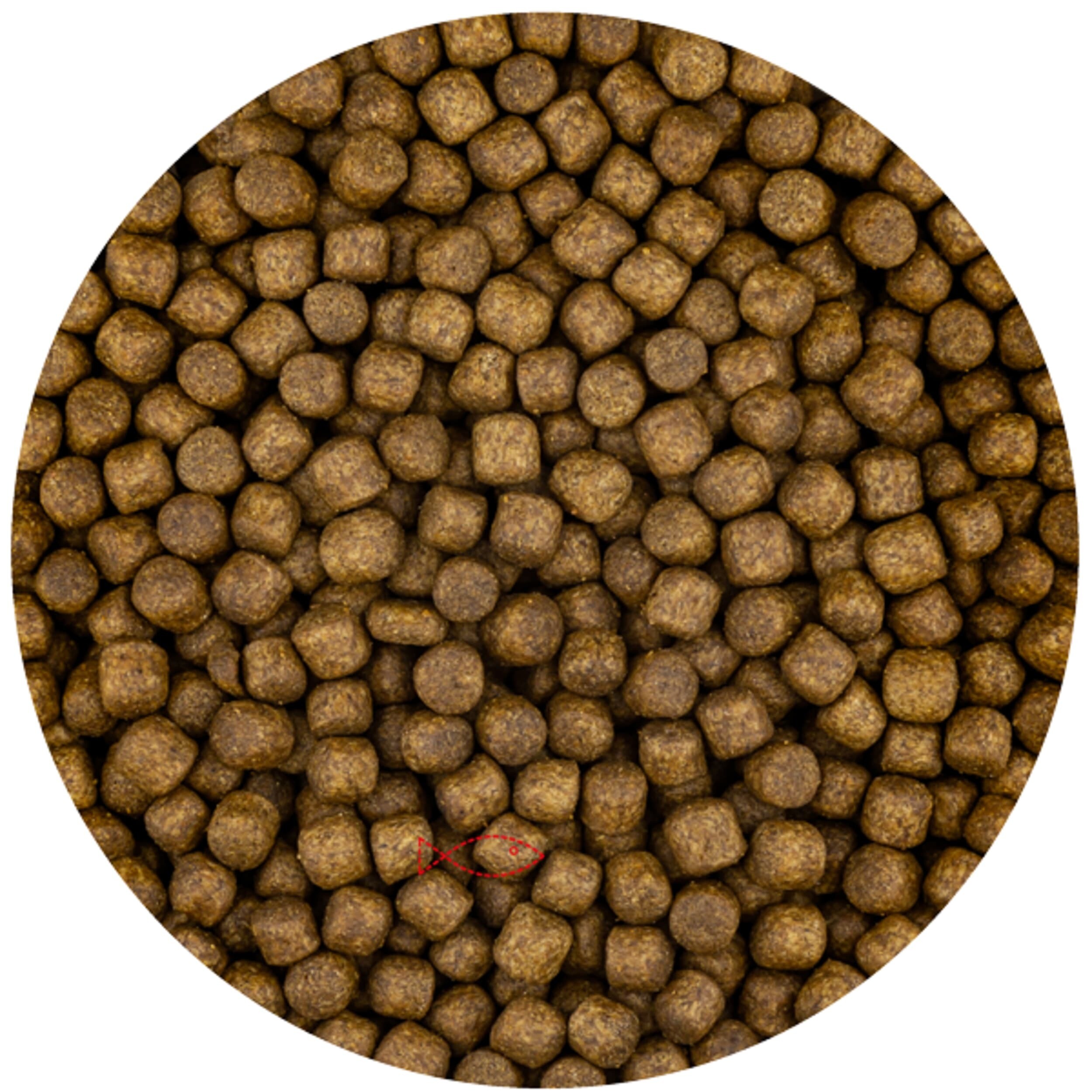Grower 6mm (6 kilos bag)