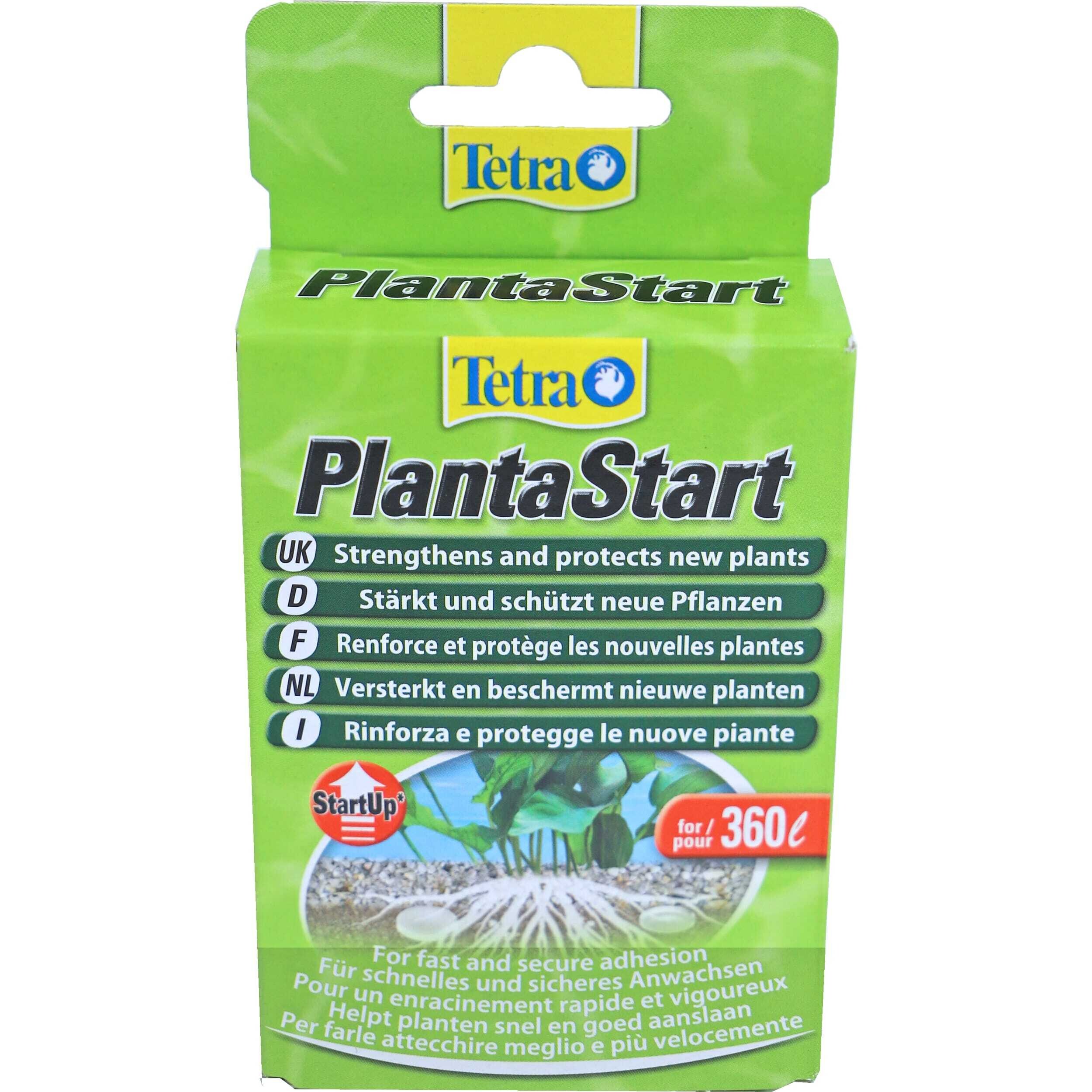 Plantaartart 12 tablets Herbal, Herbs, Plant
