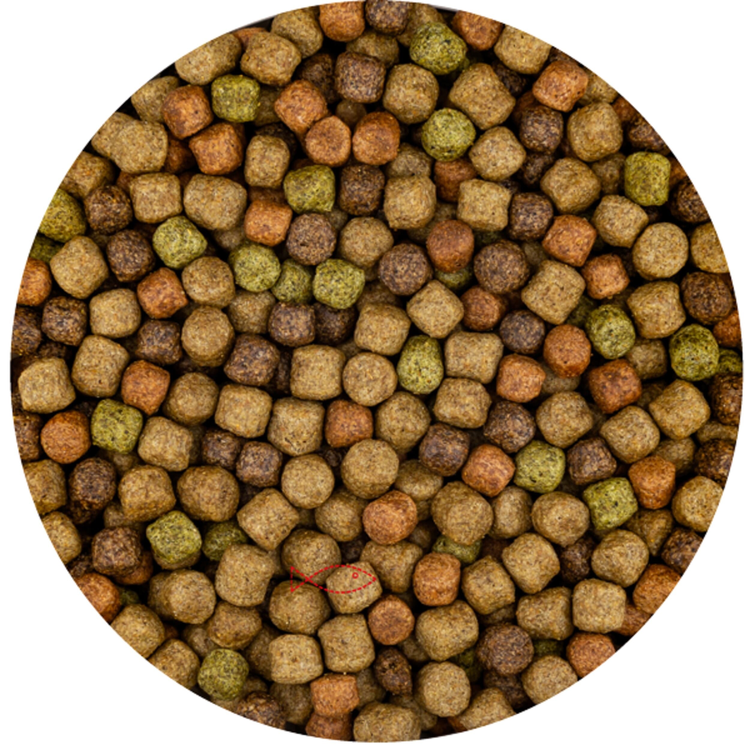 Japanese mix 6mm (6 kilos of bag) Food