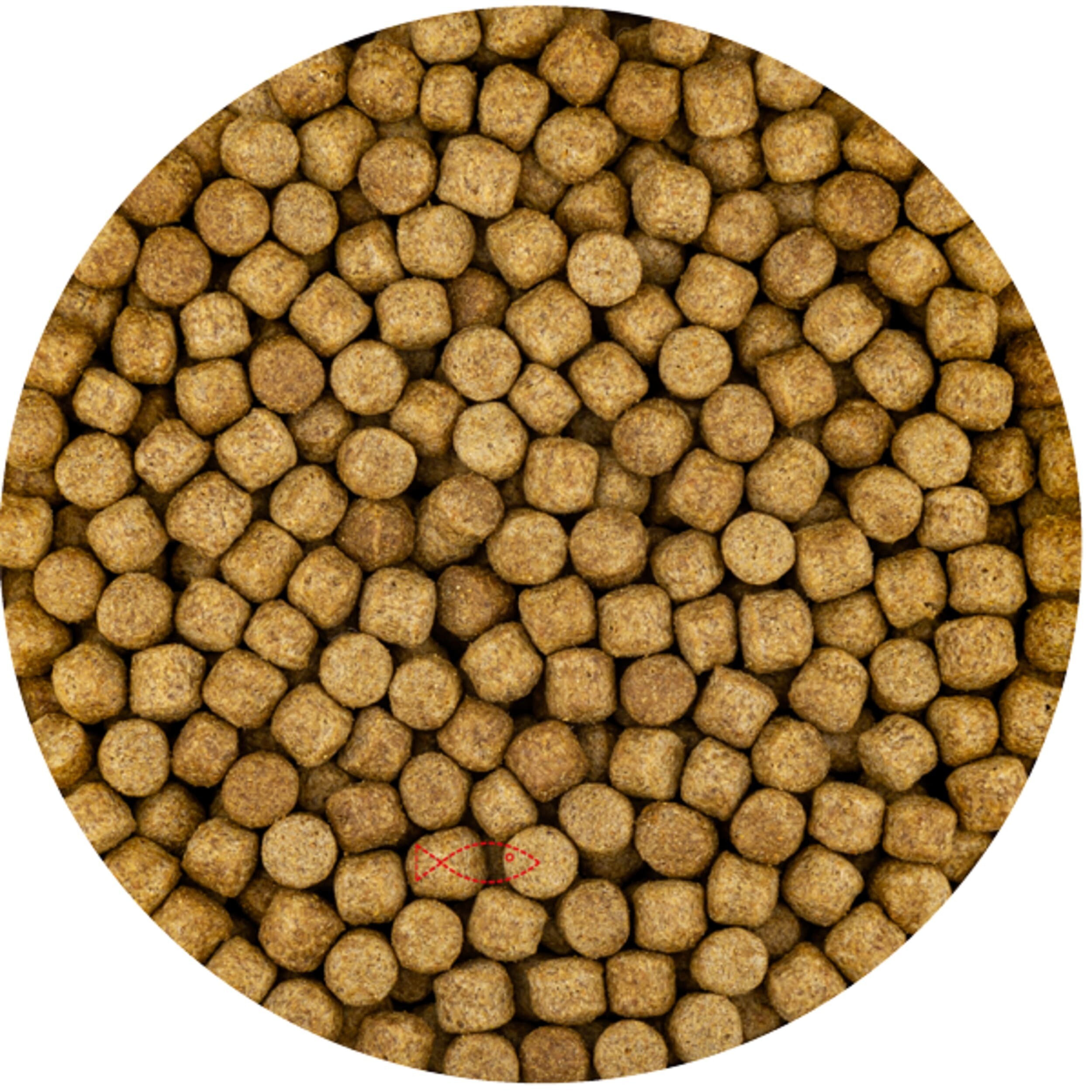 Wheat Germ 6mm (6 kilos of bag) Wheat Germ 6mm (6 kilos of bag)