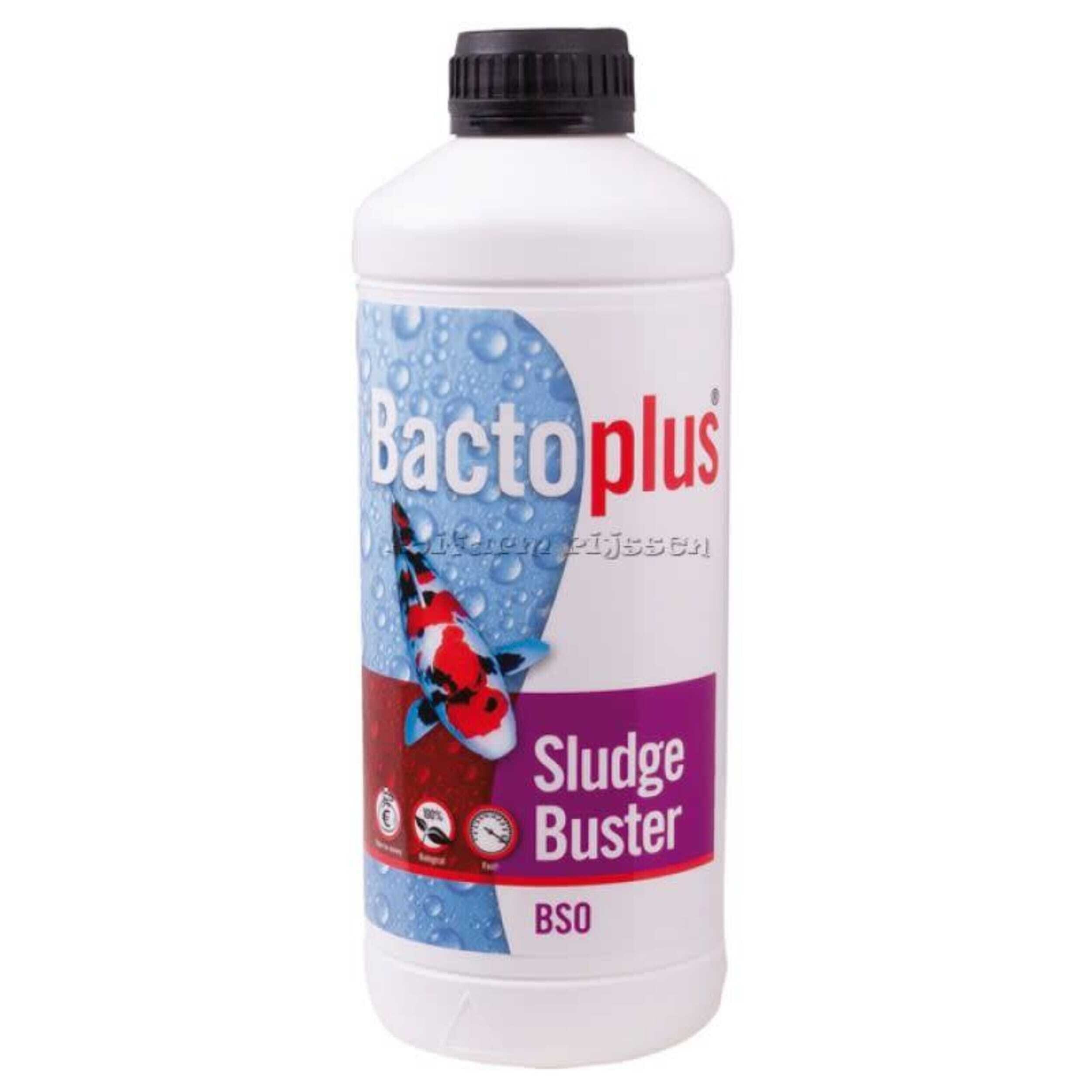 BSO 1 LTR