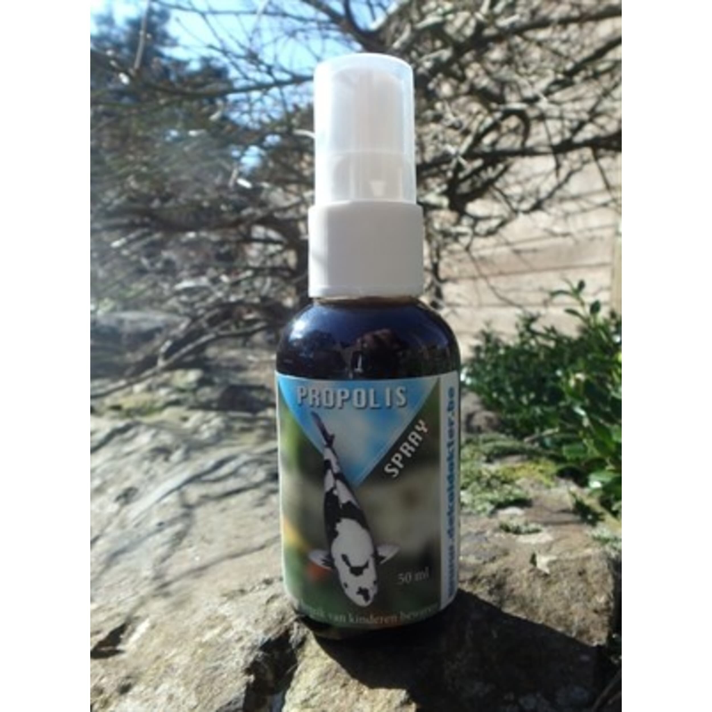 Propolis Spray - 50 ml Tin, Bottle, Cosmetics, Perfume