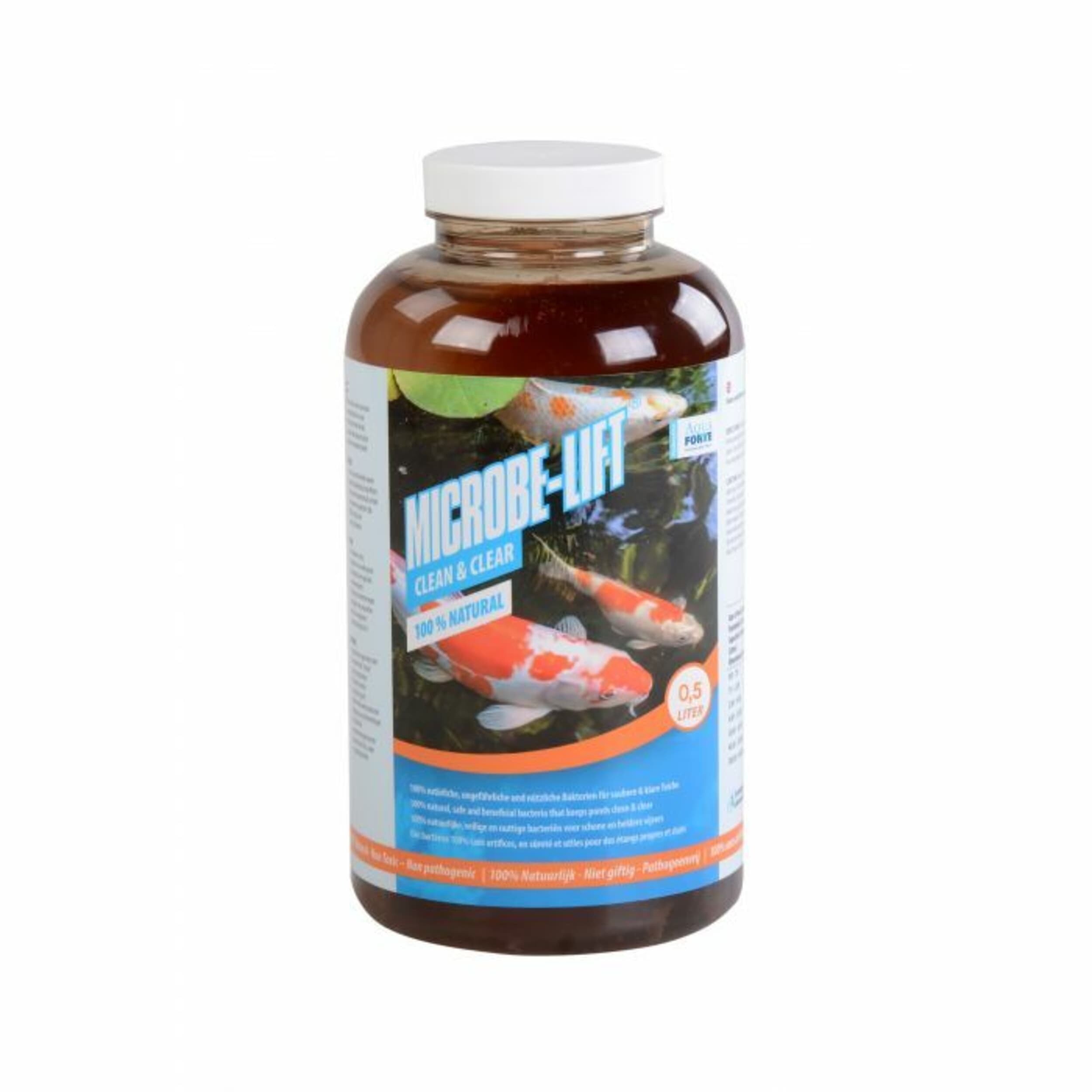 Seasoning, Syrup, Herbal, Plant, Fish