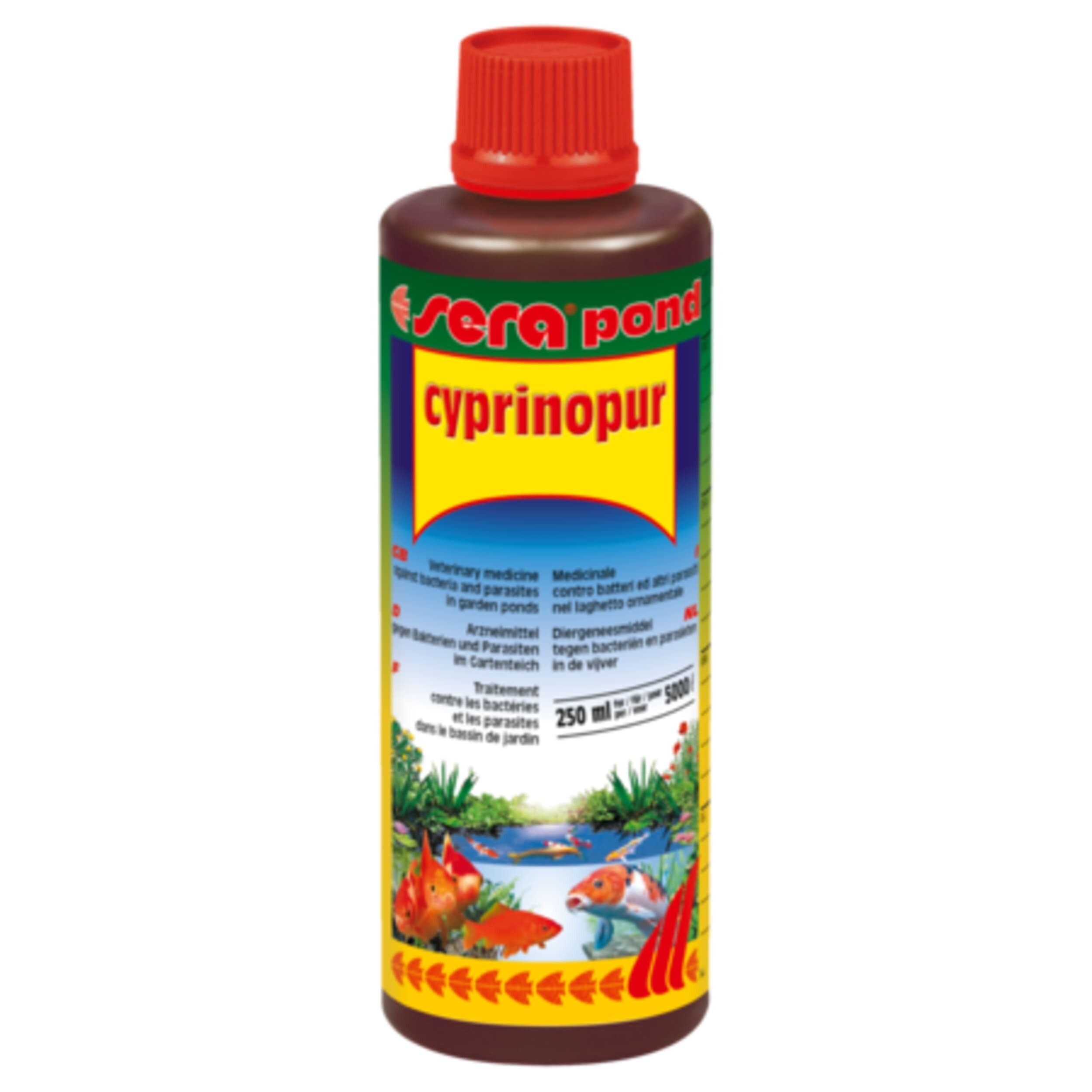 Herbal, Seasoning, Syrup, Ketchup, Bottle