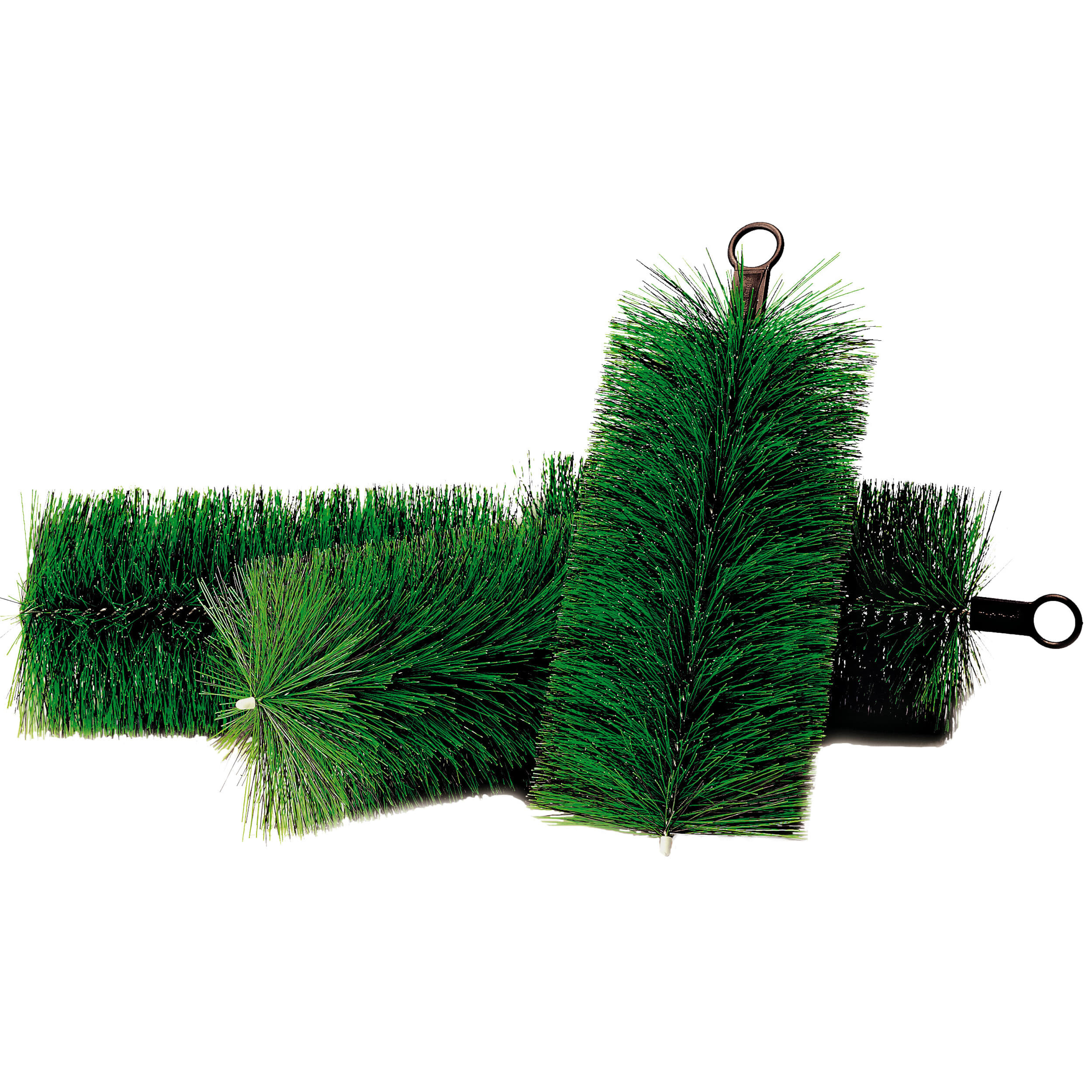 Plant, Boom, Dennen, Gras, Potplant