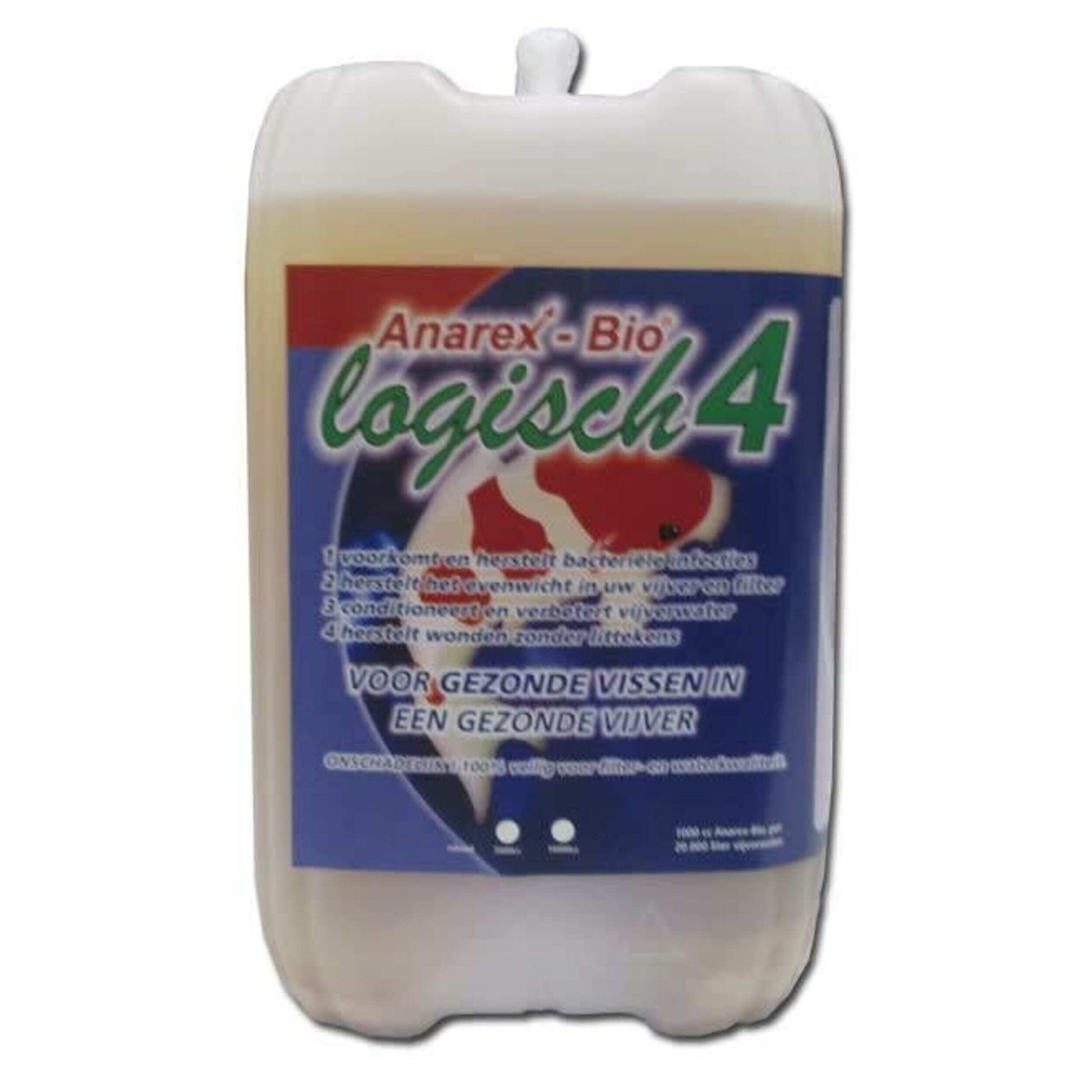 Voedsel, Ketchup