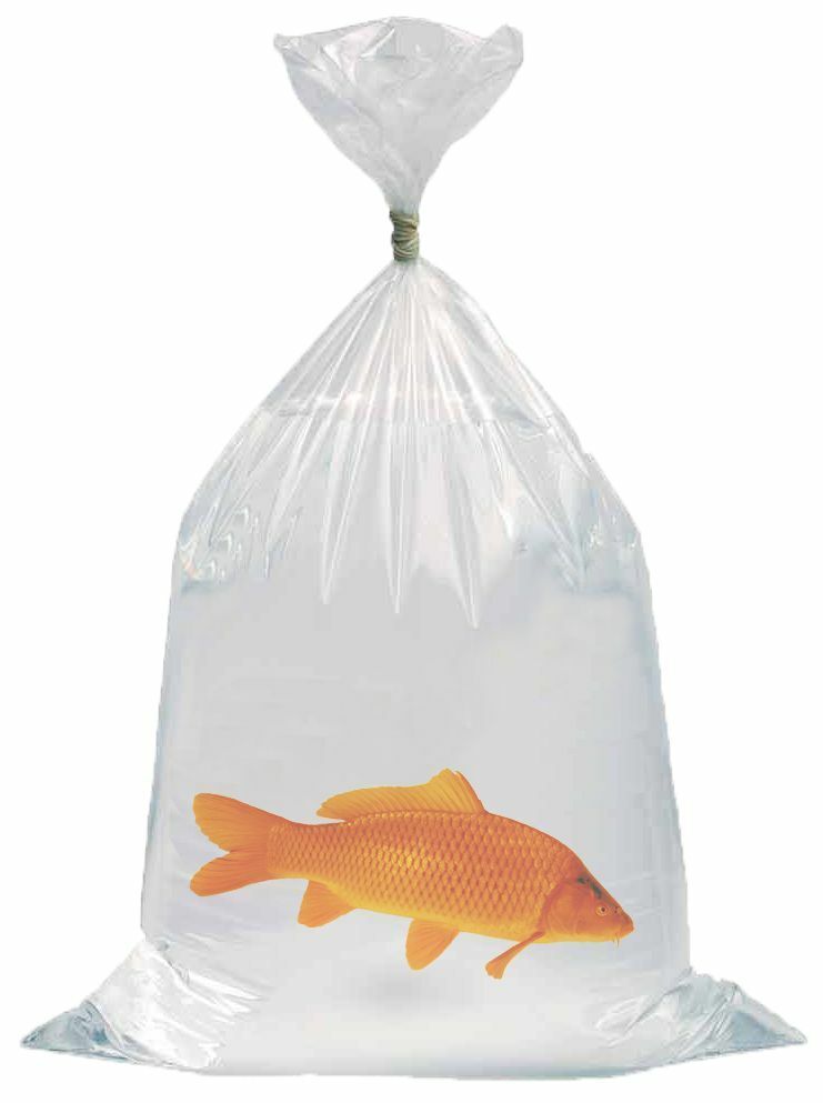 Sacs de transport pour poissons 45 x 120cm et 0.08mm d'épaisseur - Boîte (100 pcs)