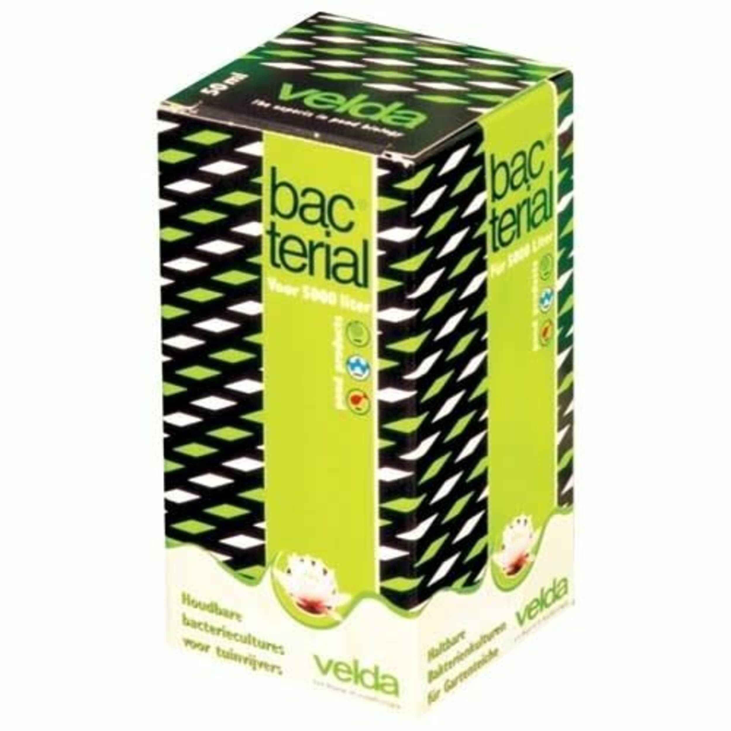 Bacterial - 200 ml Kruiden, Plant, Kauwgom