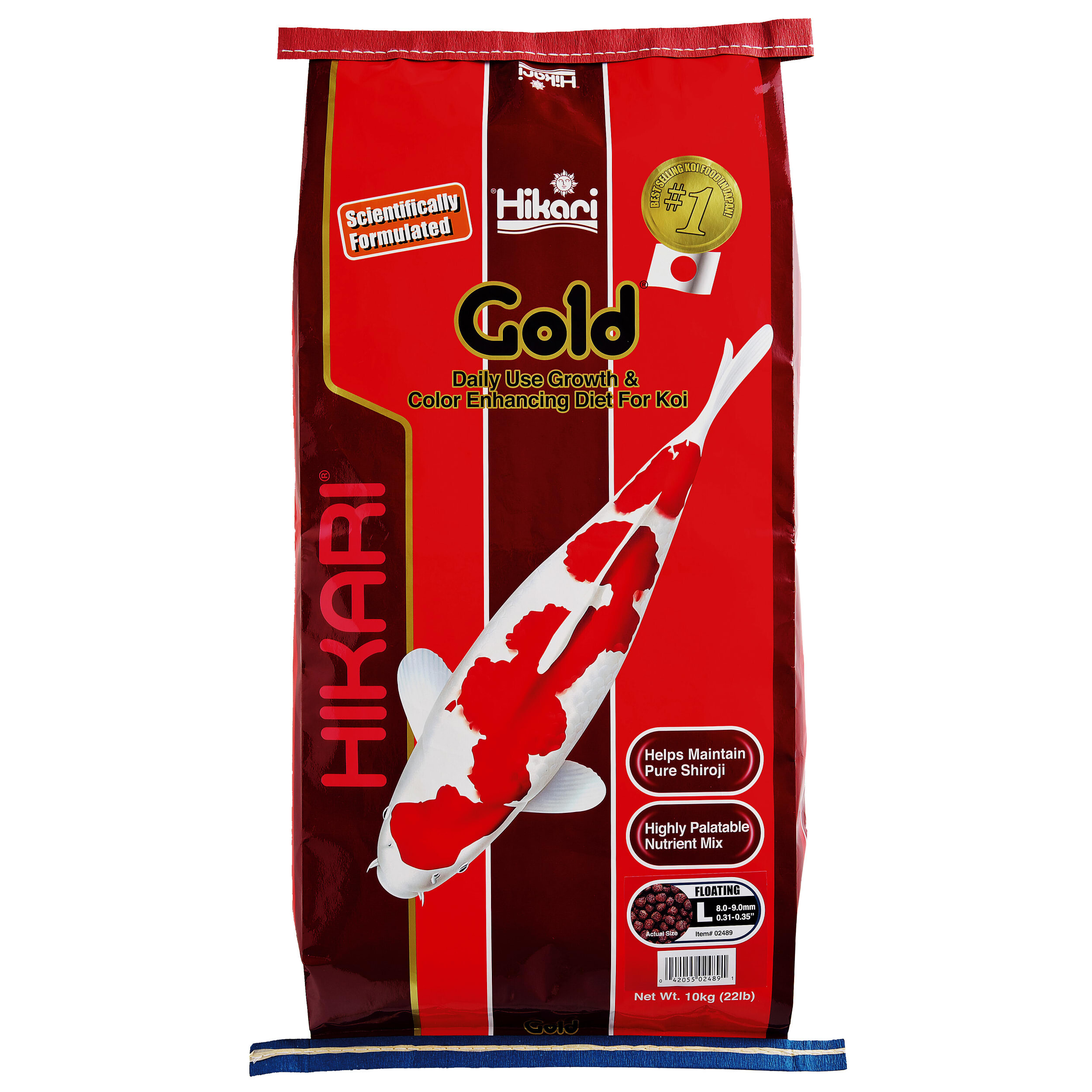 Gold Large 10 kg Carp, Fish, Sea Life, Koi, Ketchup