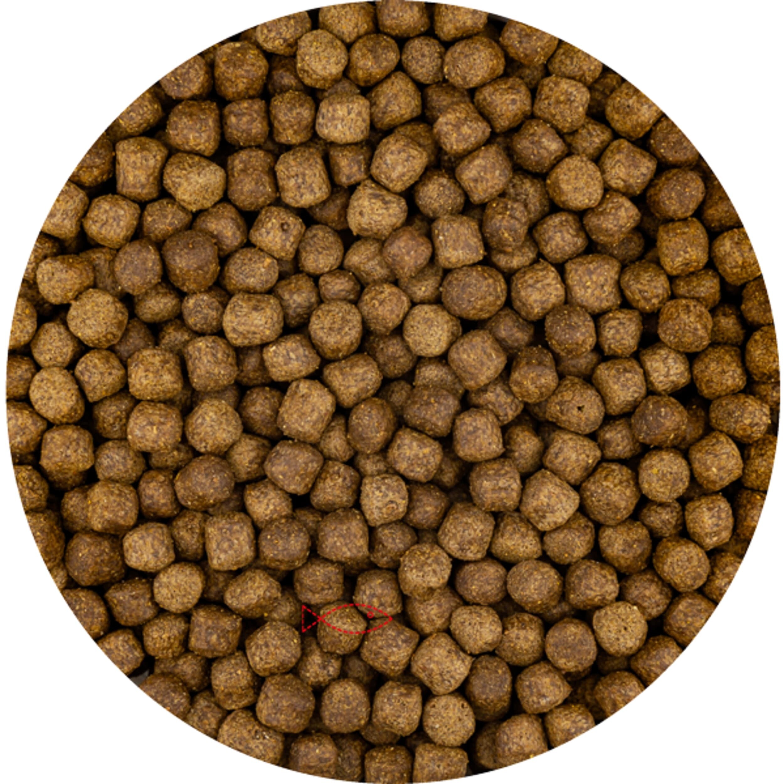 Top Growth 6mm (5 liters of bucket)