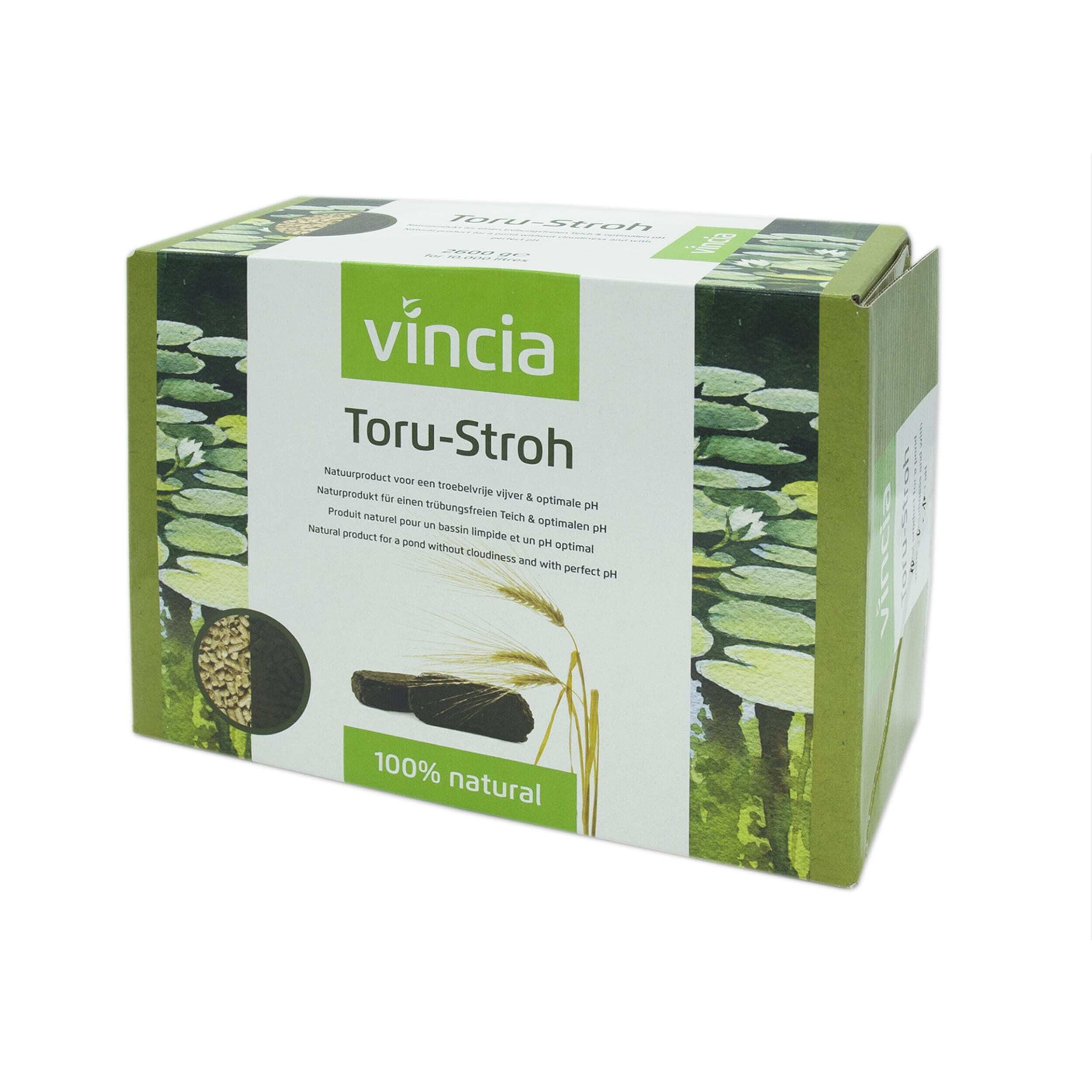 Herbal, Herbs, Plant, Box