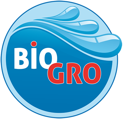 Logo, Ice