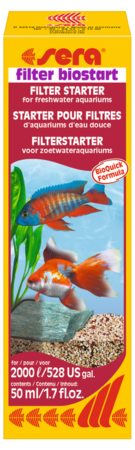 Animal, Fish, Sea Life, Advertisement