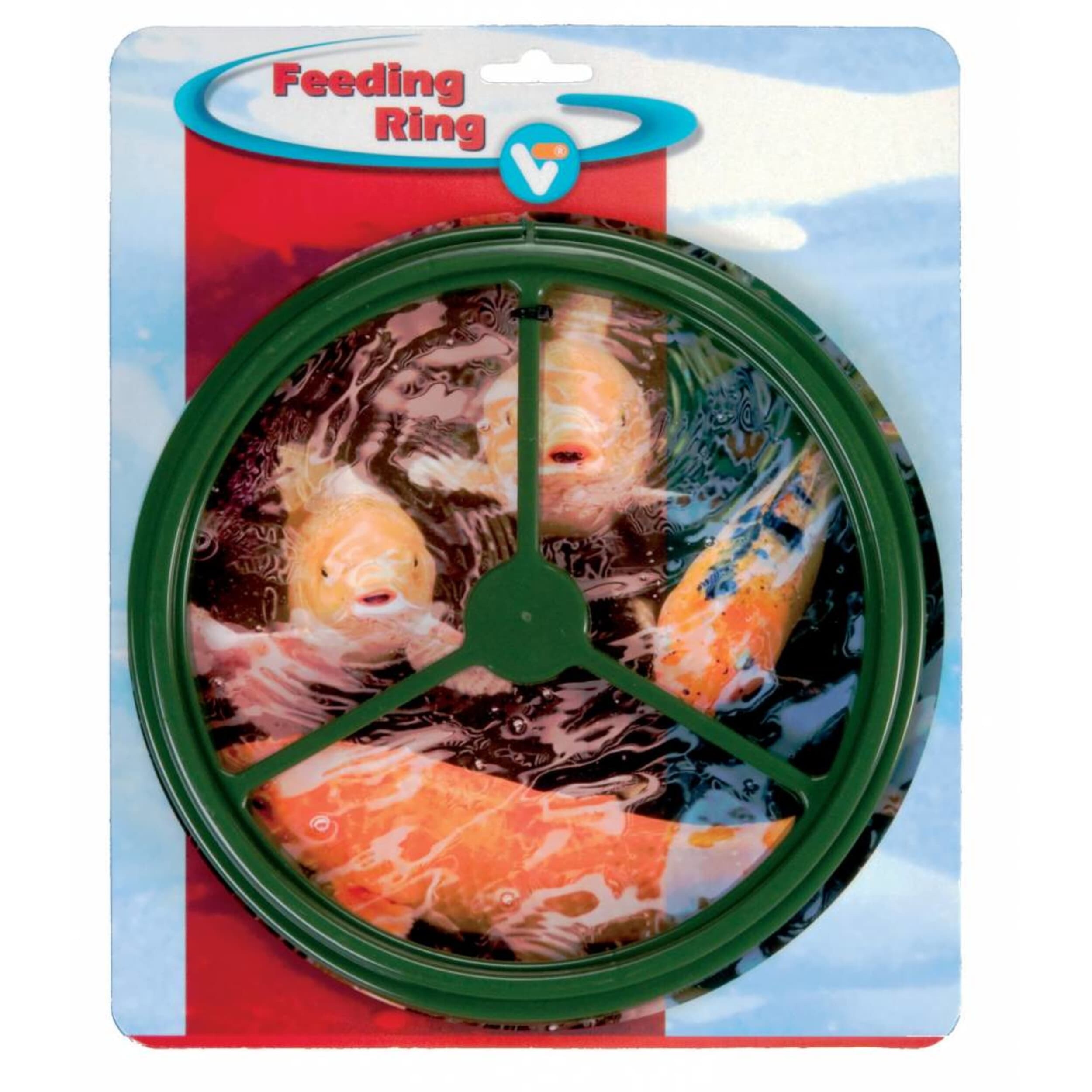 Animal, Sea Life, Carp, Fish, Koi