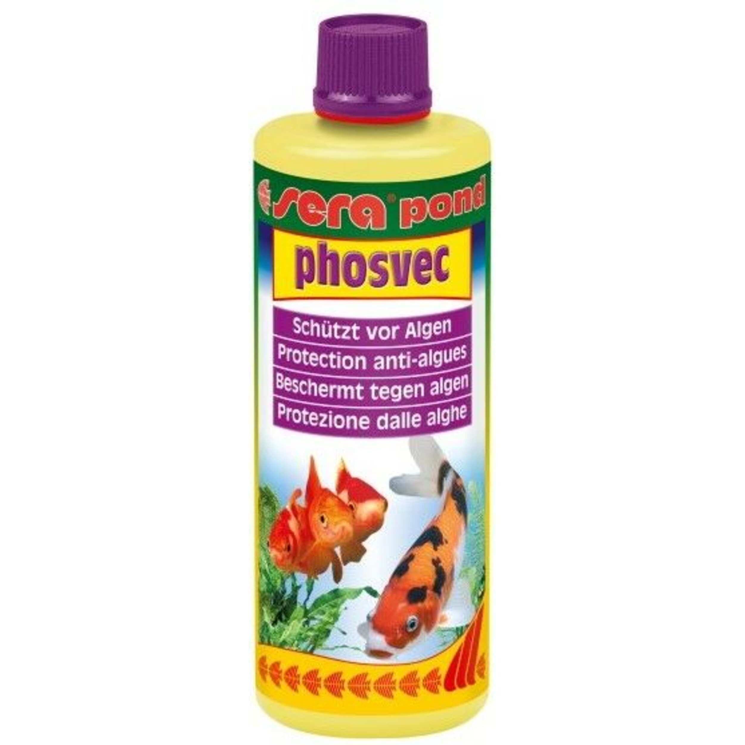 Bottle, Animal, Fish, Sea Life