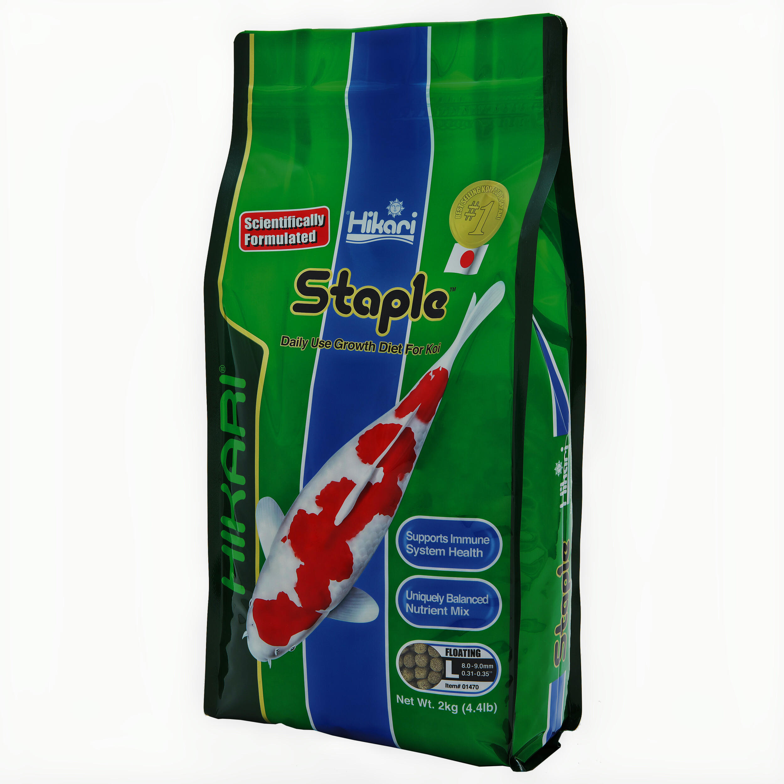 Staple Large 2 kg Brush, Device, Tool, Toothbrush