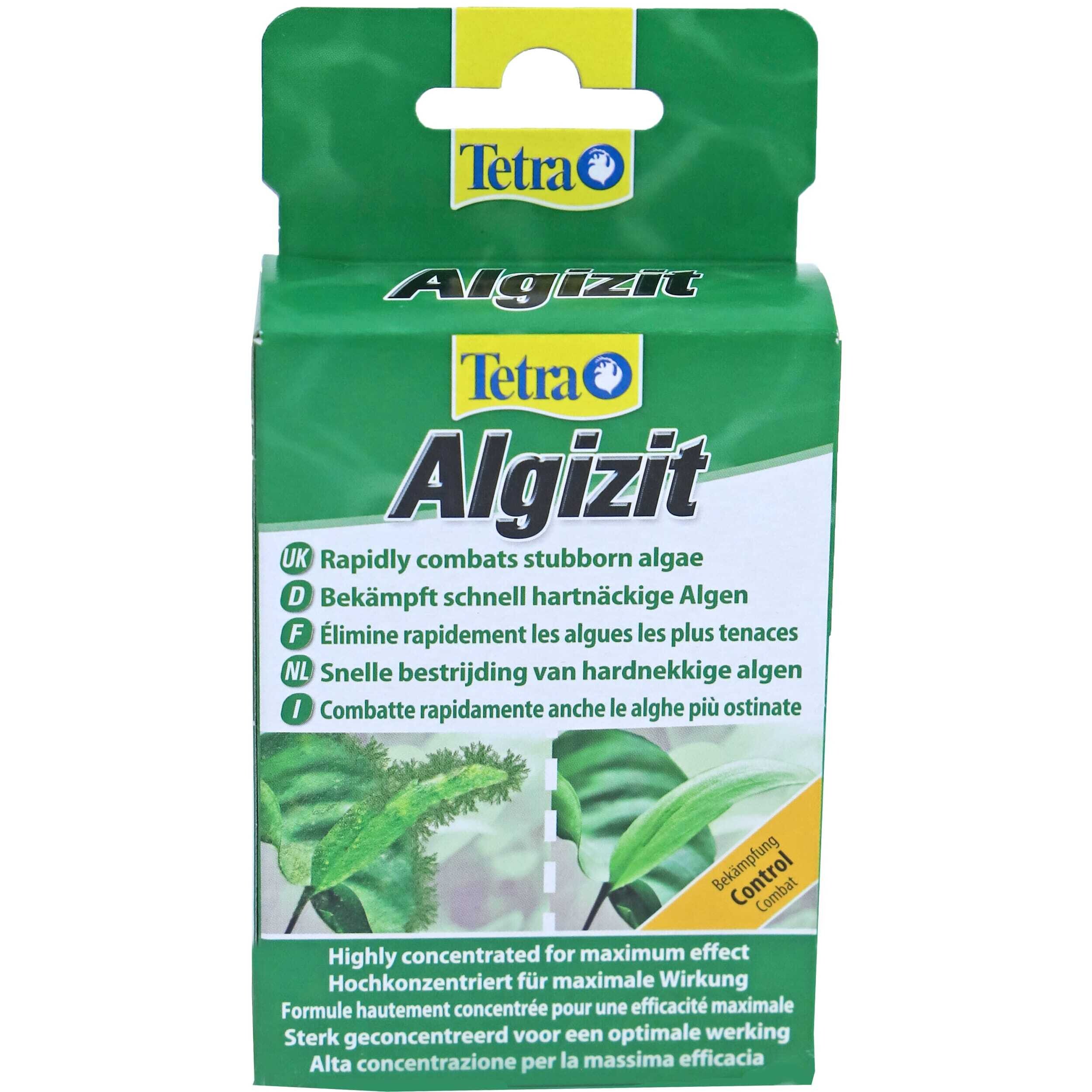 Kruiden, Plant, Blad