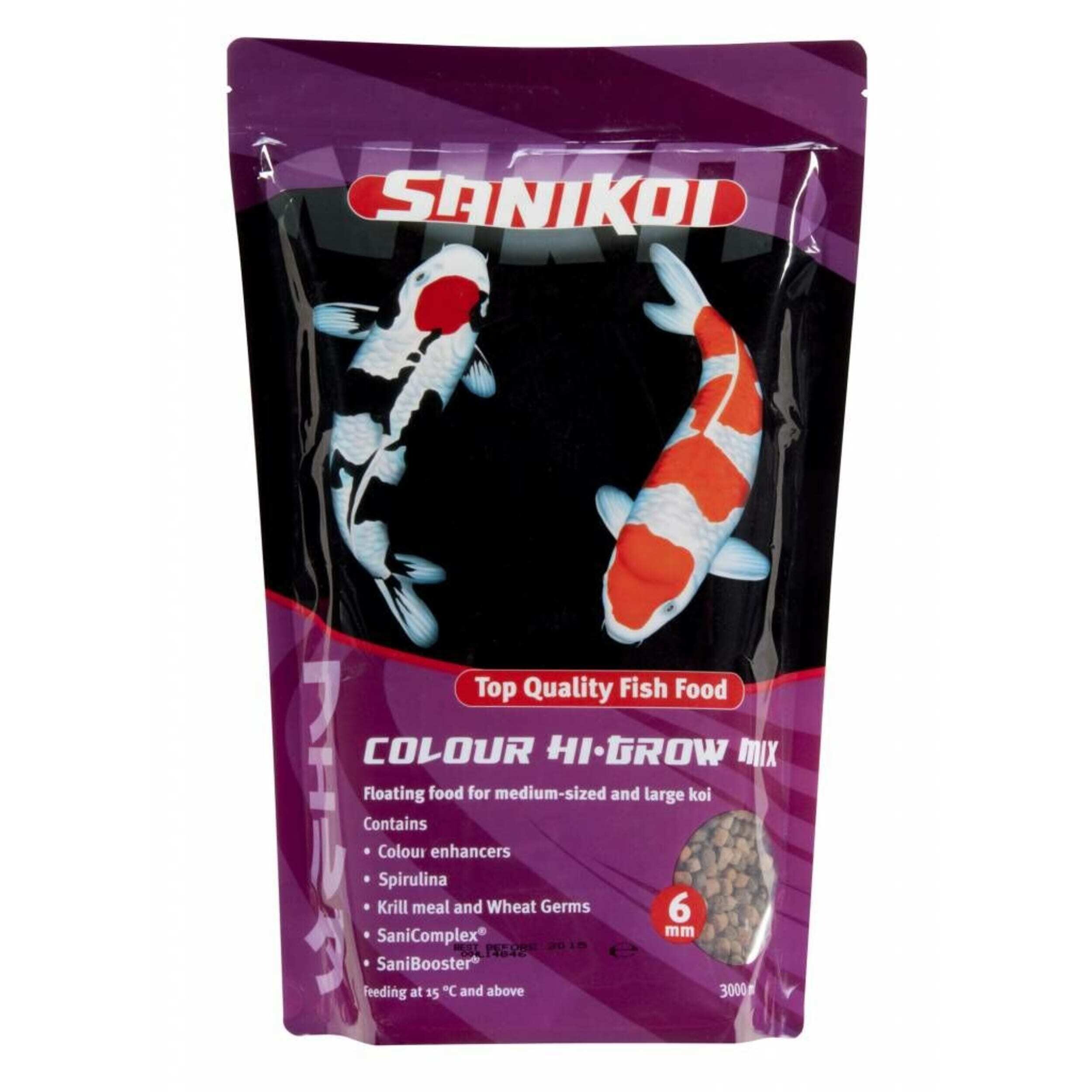 Animal, Carp, Fish, Sea Life, Koi