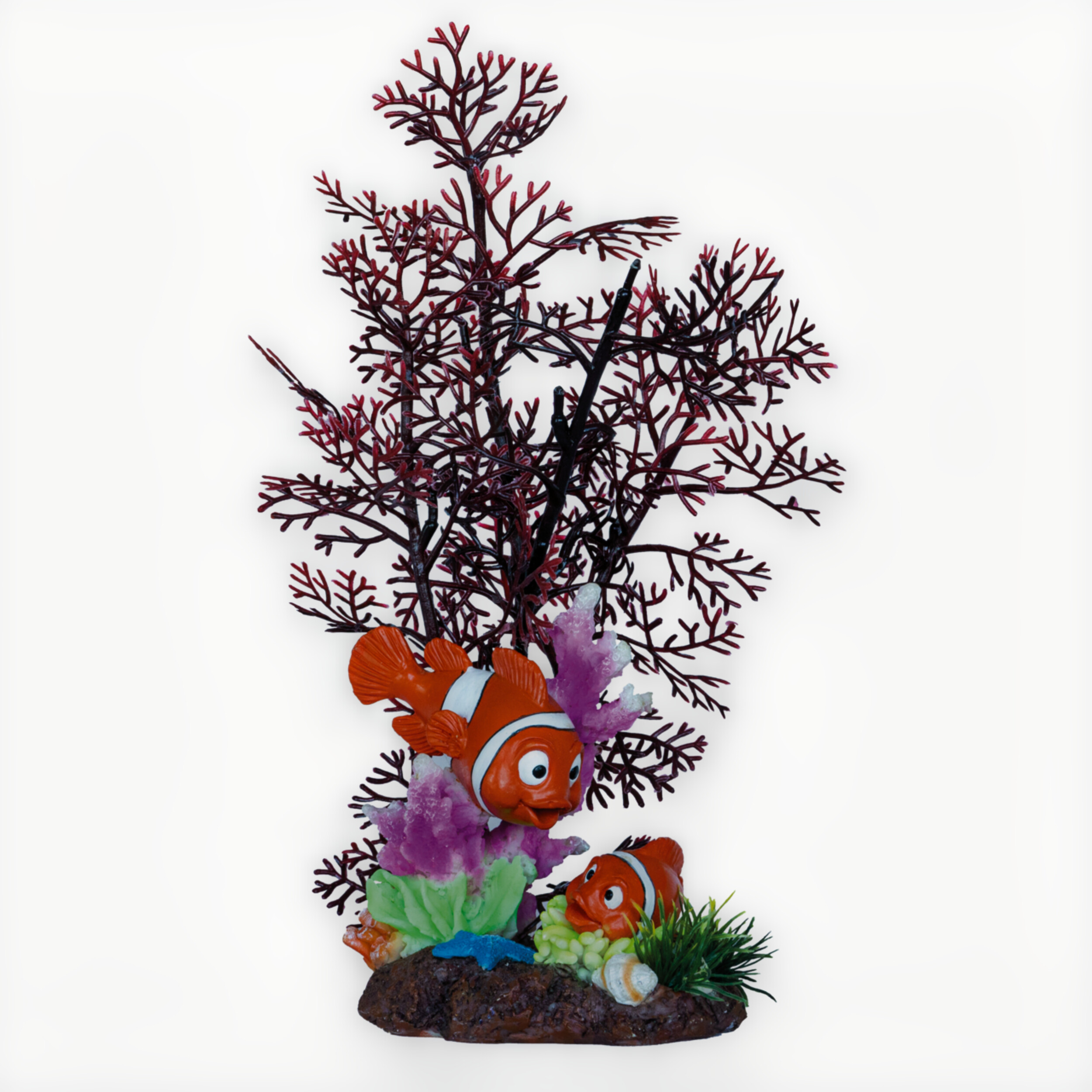Flower, Flower Arrangement, Plant, Amphiprion, Sea Life