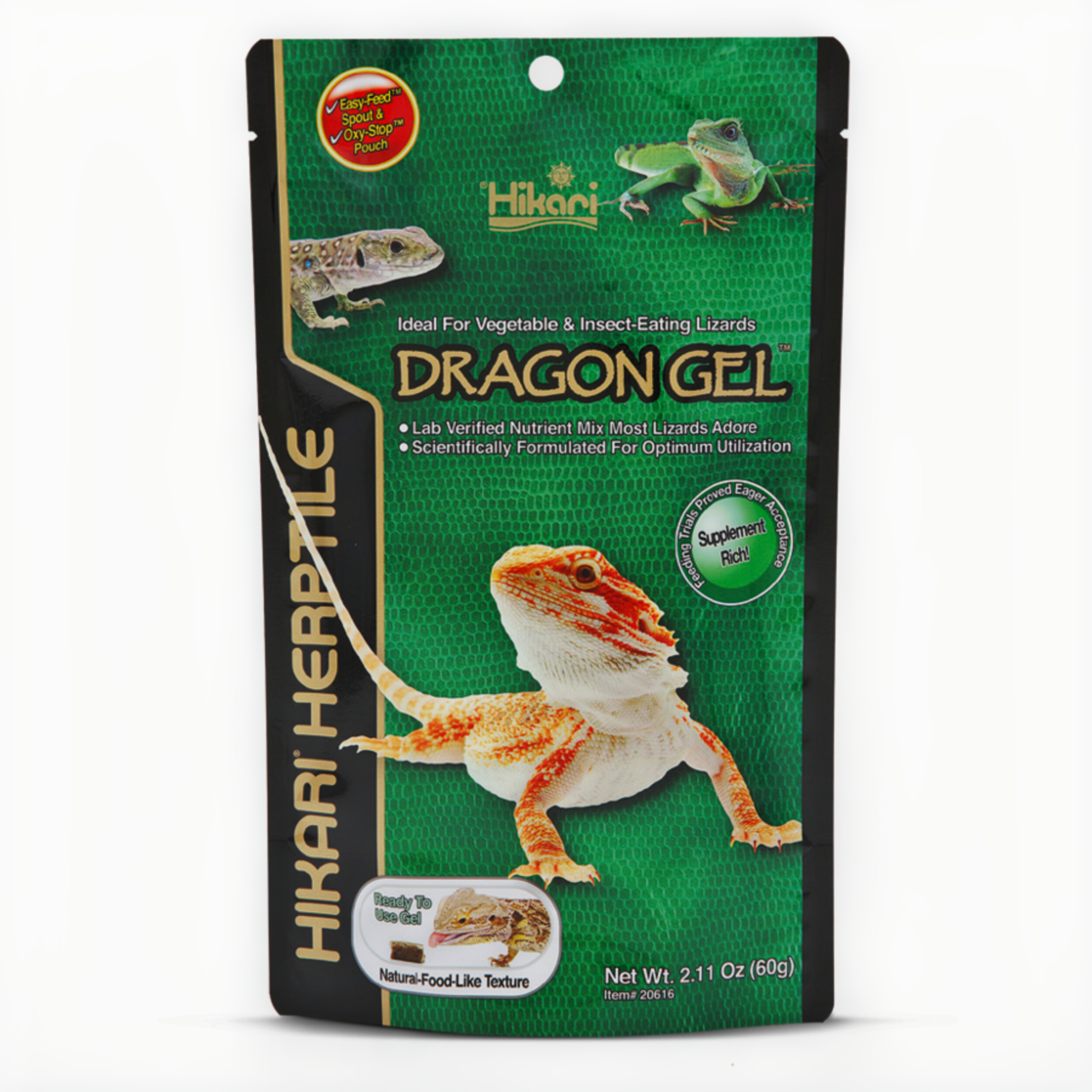 Animal, Gecko, Lizard, Reptile, Iguana