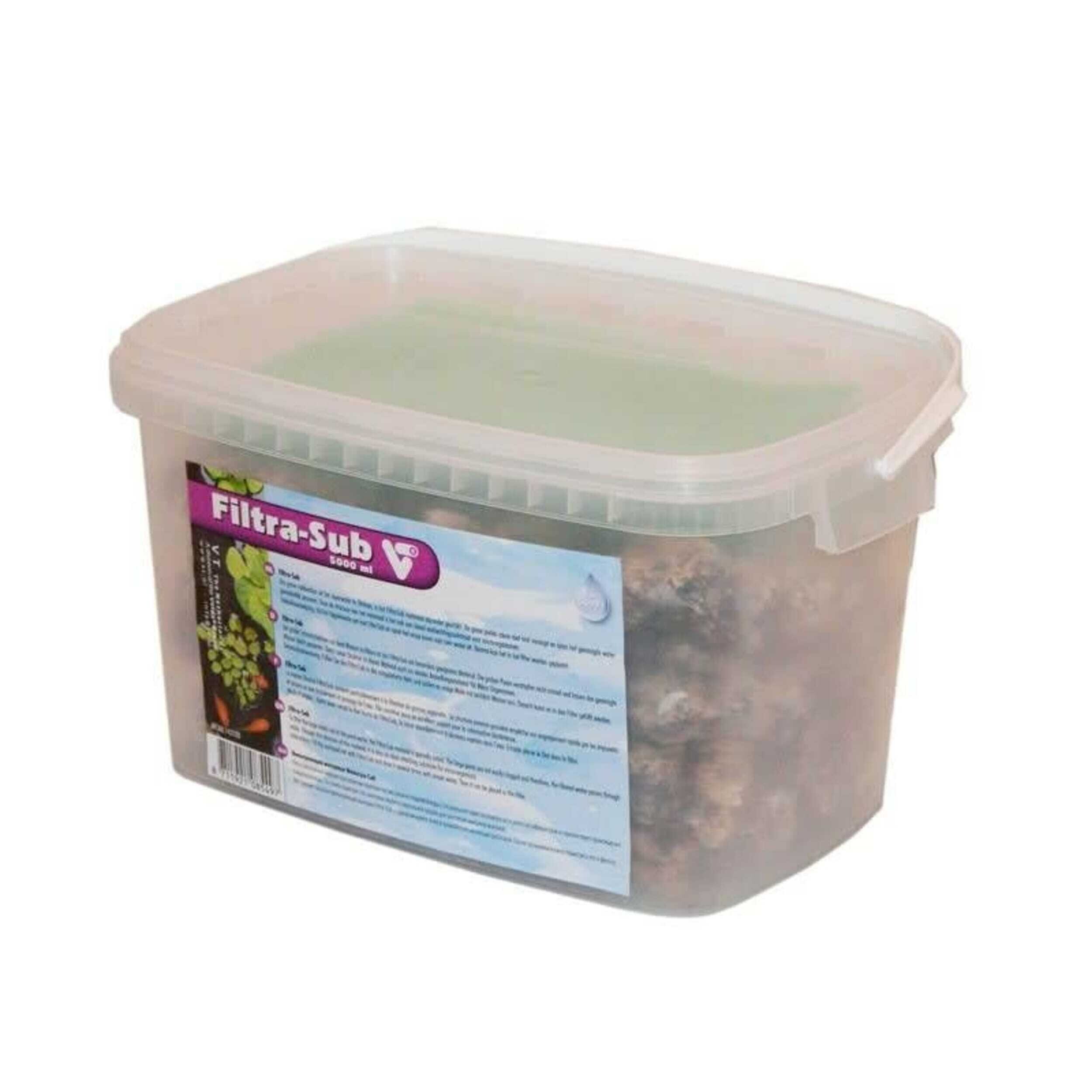 Food, Lunch, Meal, Box