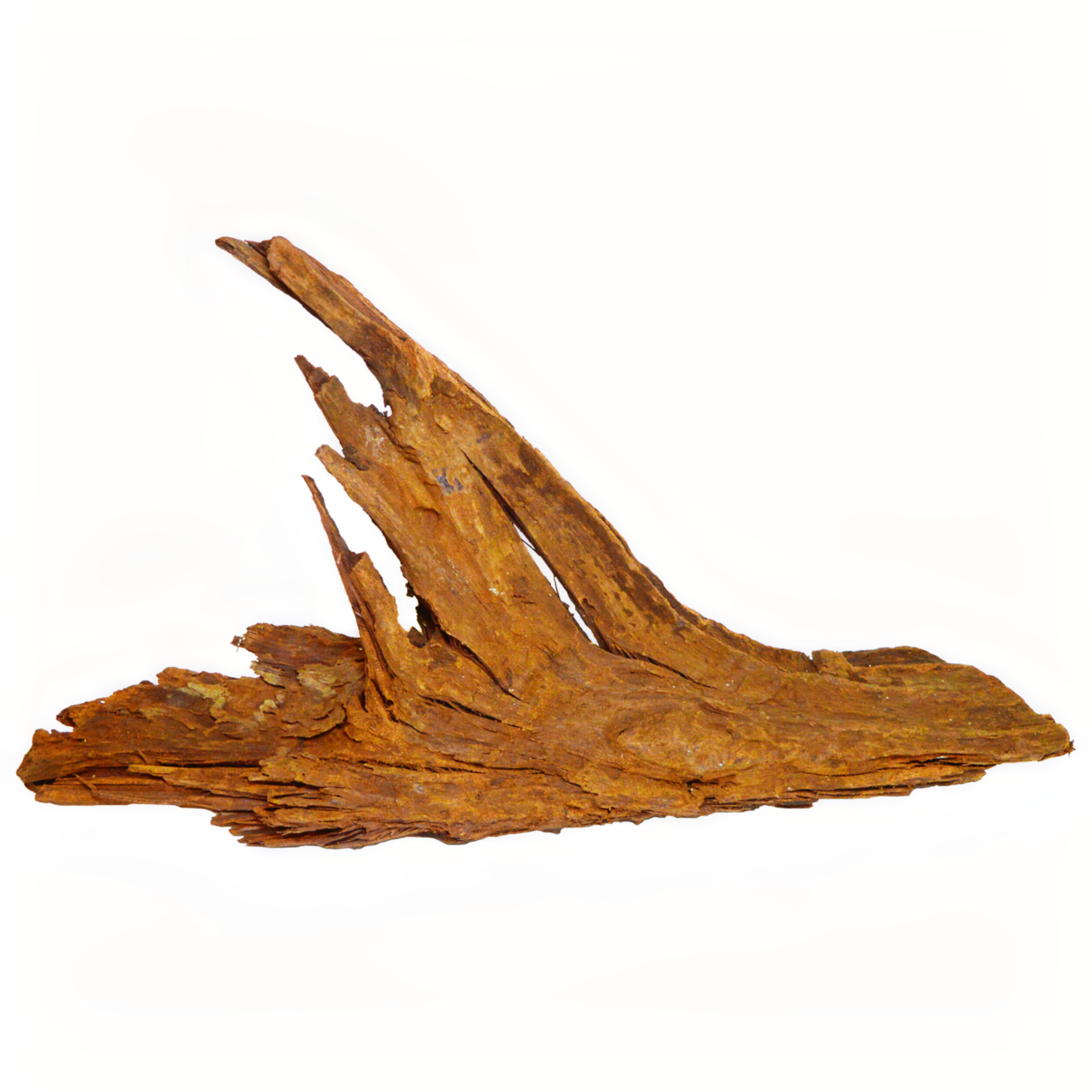 Hout, Drijfhout
