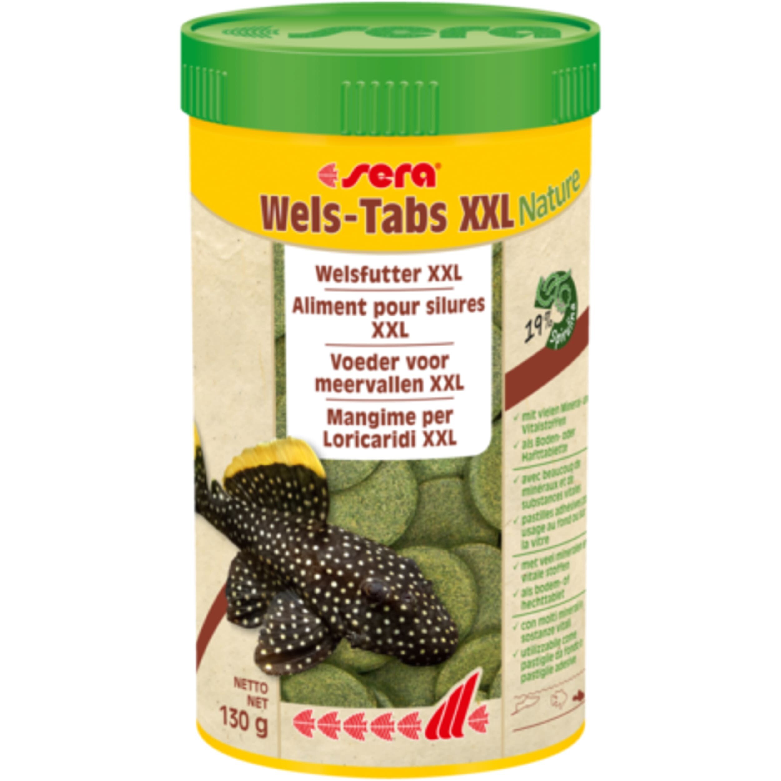 Berry, Food, Fruit, Plant, Produce