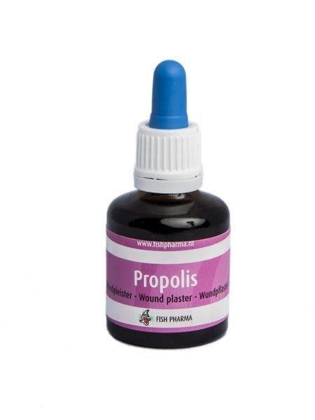 Propolis