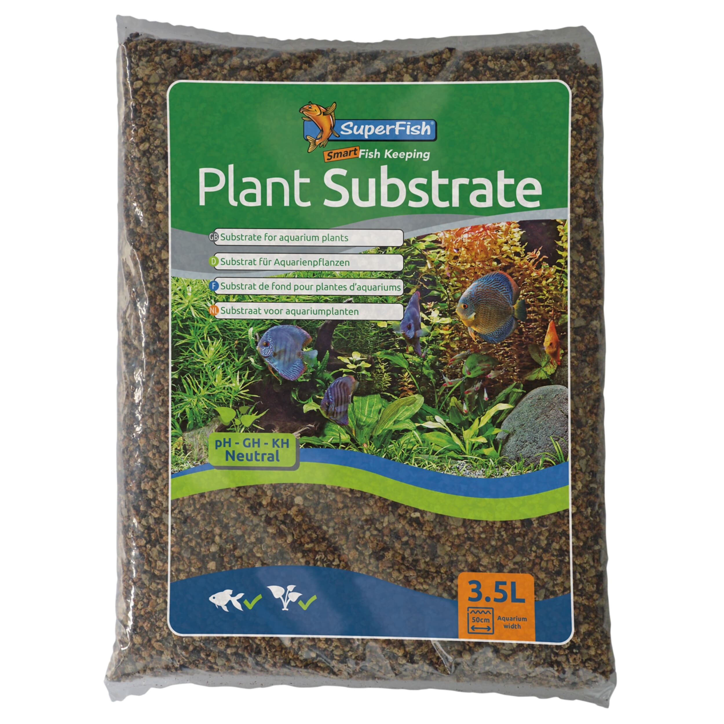 Herbal, Plant, Fish, Sea Life, Flax