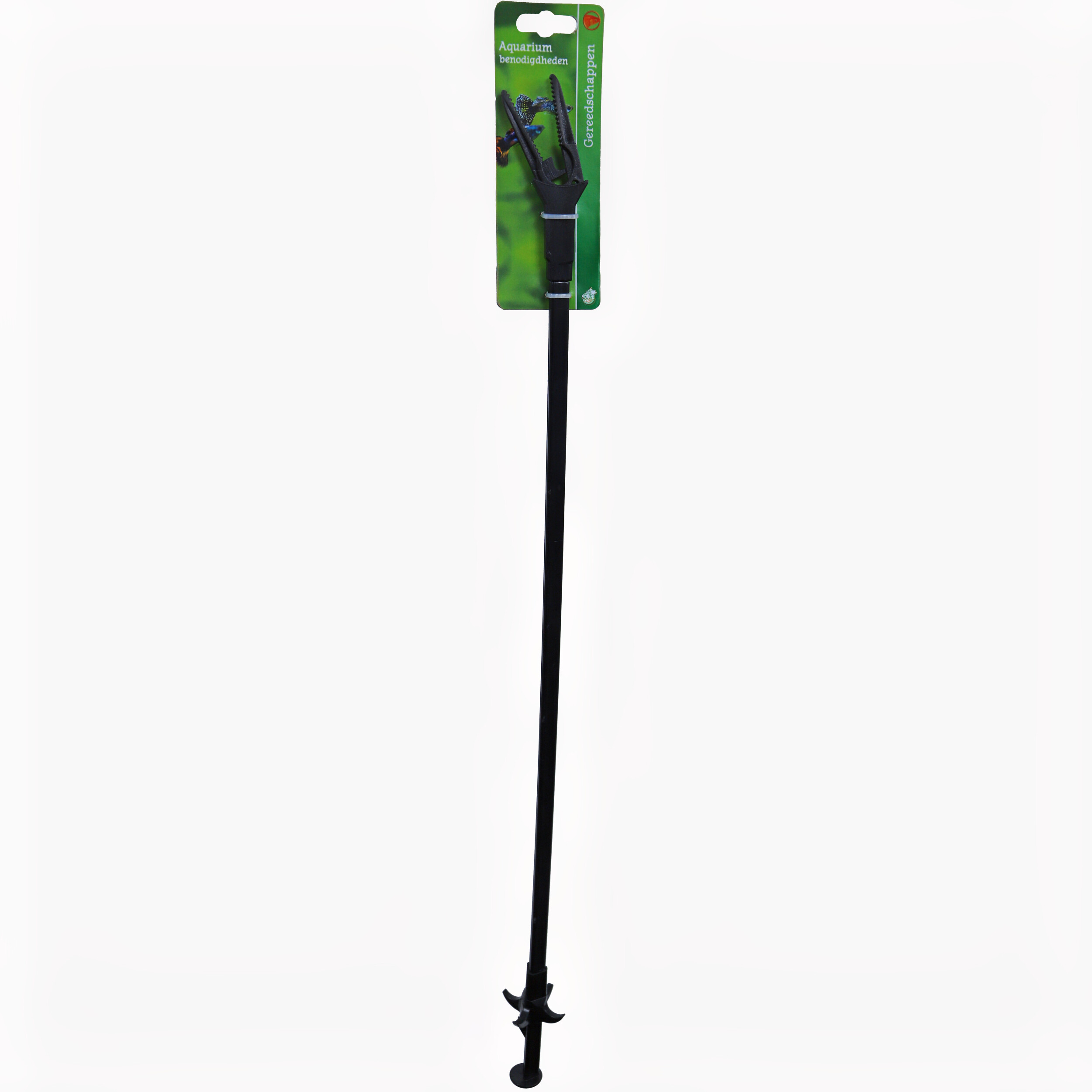 Pflanze älter als 70 cm