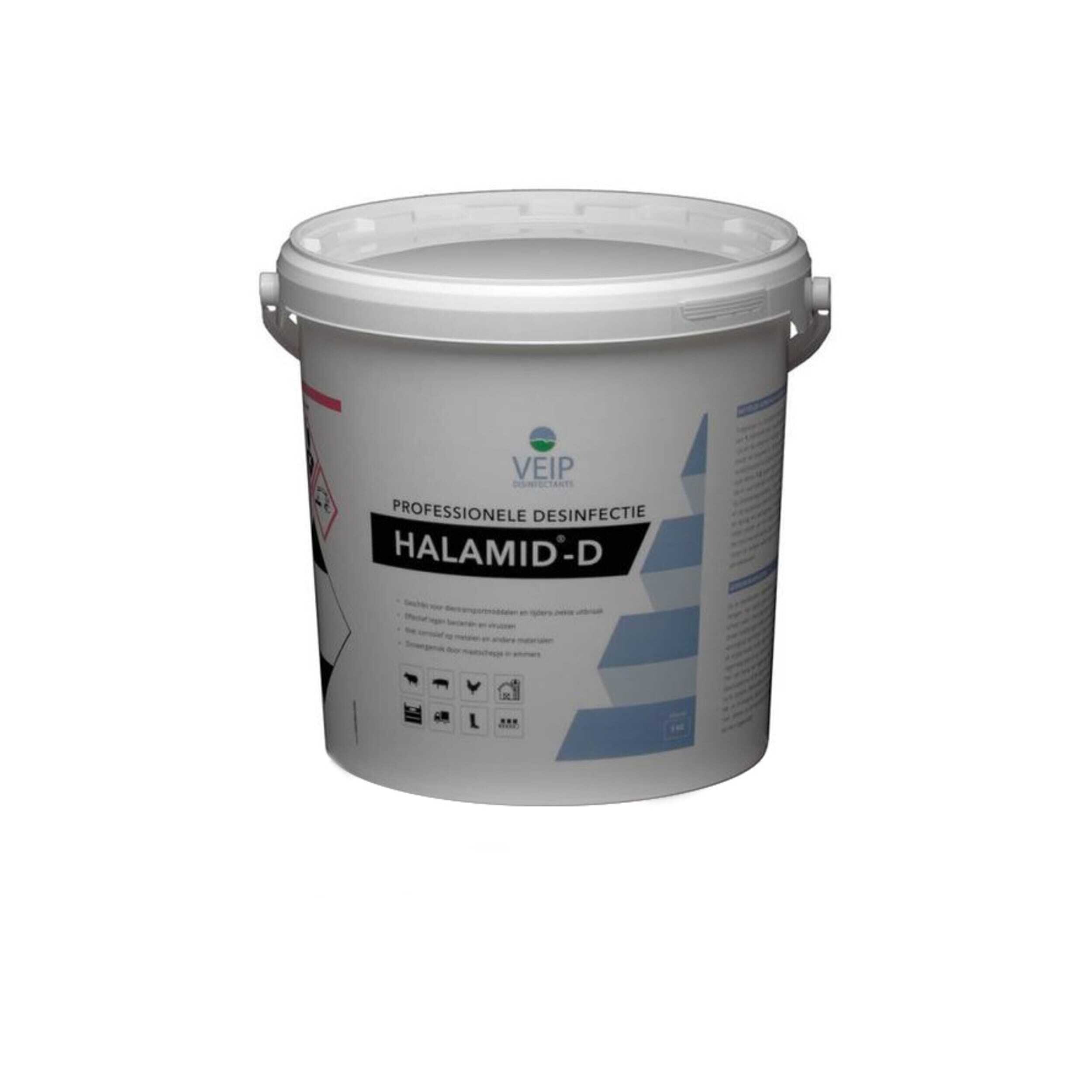Paint Container