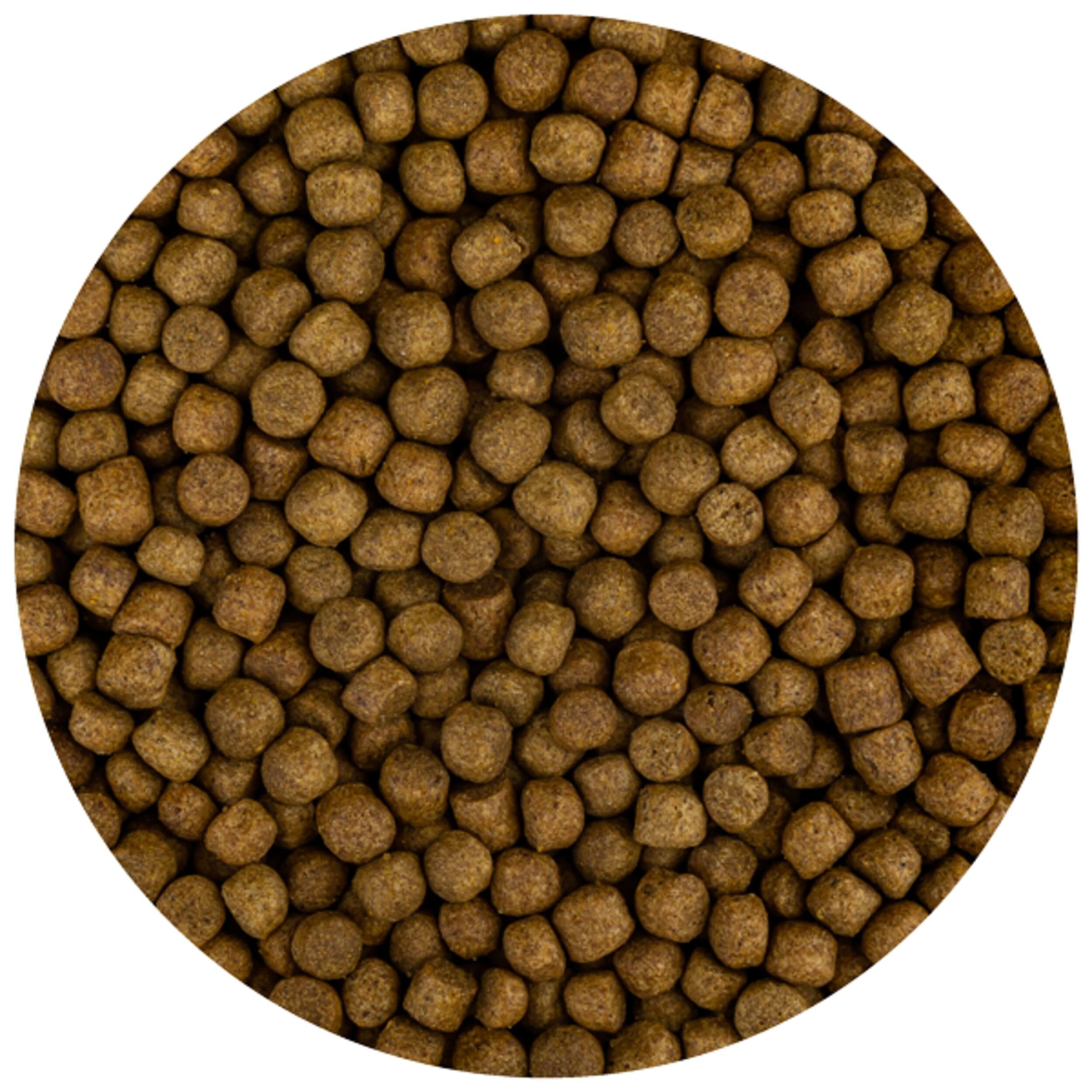 Build-Up Extra M 5.7 mm (3 kilos) Build-Up Extra M 5.7 mm (3 kilos)