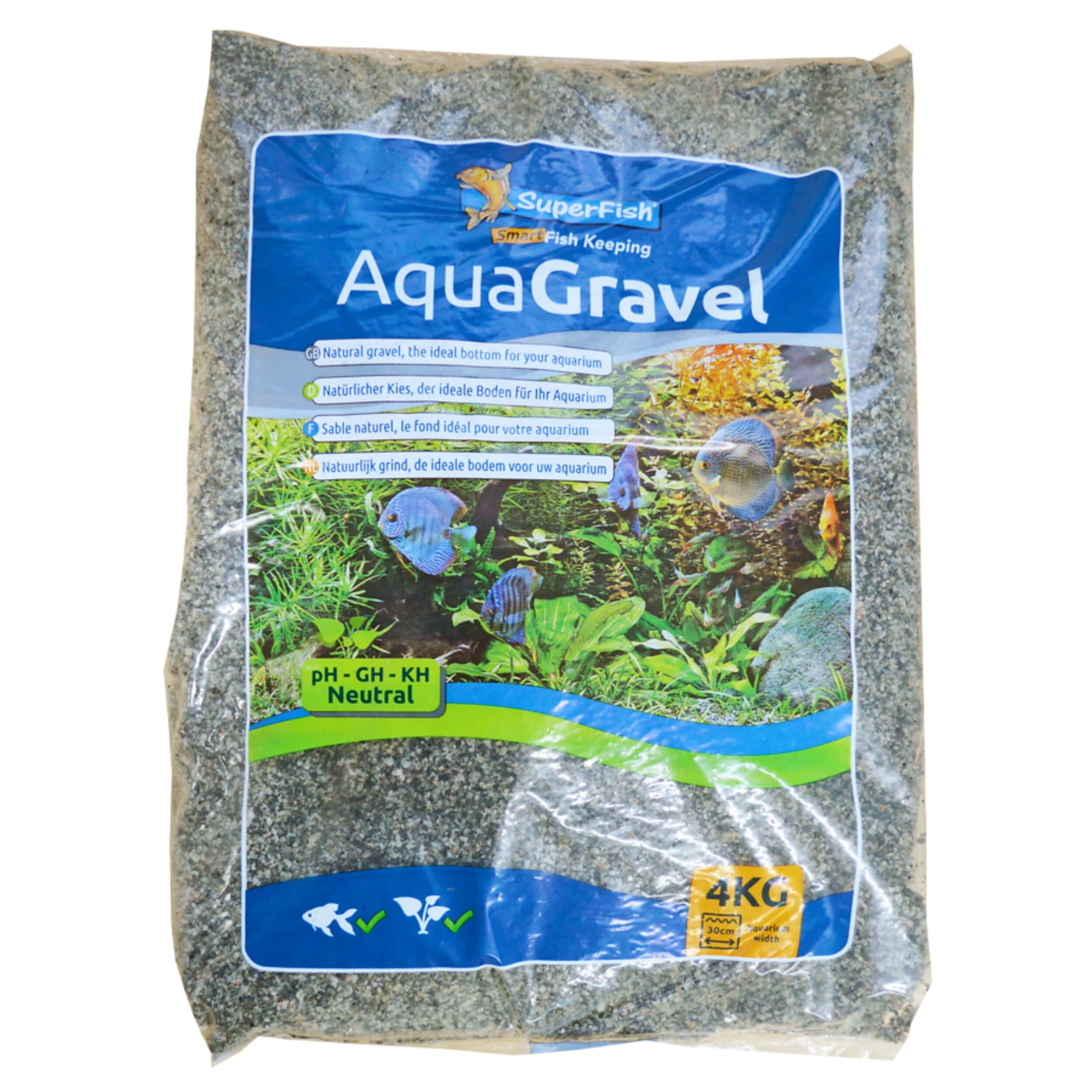 Flax, Plant, Fish, Sea Life, Soil