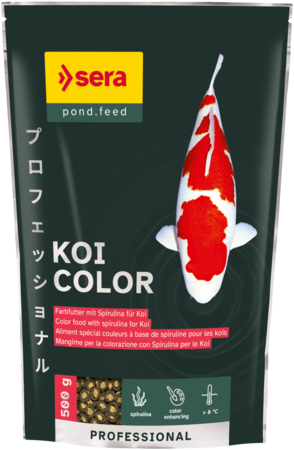 Koi Professional Color 500 gr