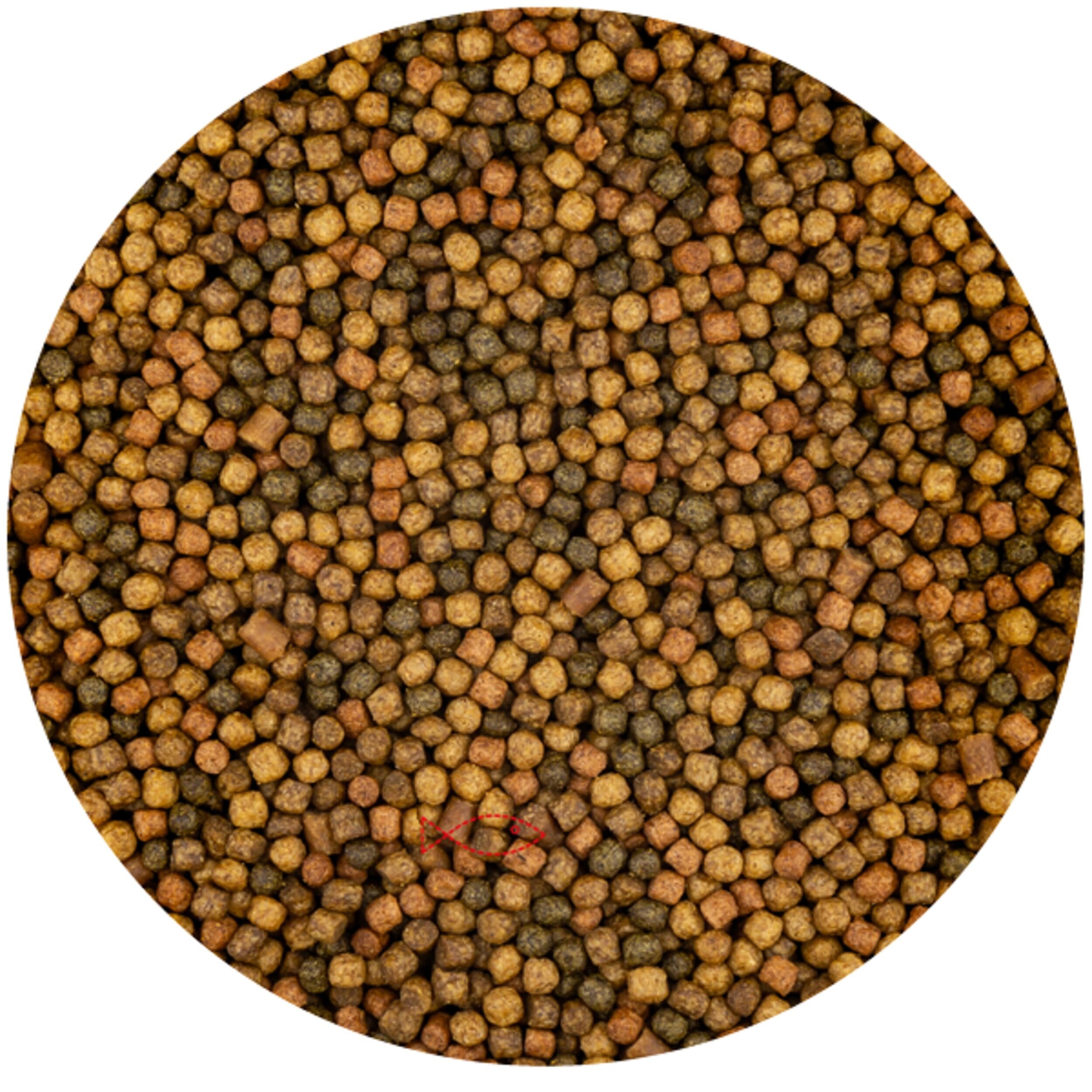 Food, Mustard