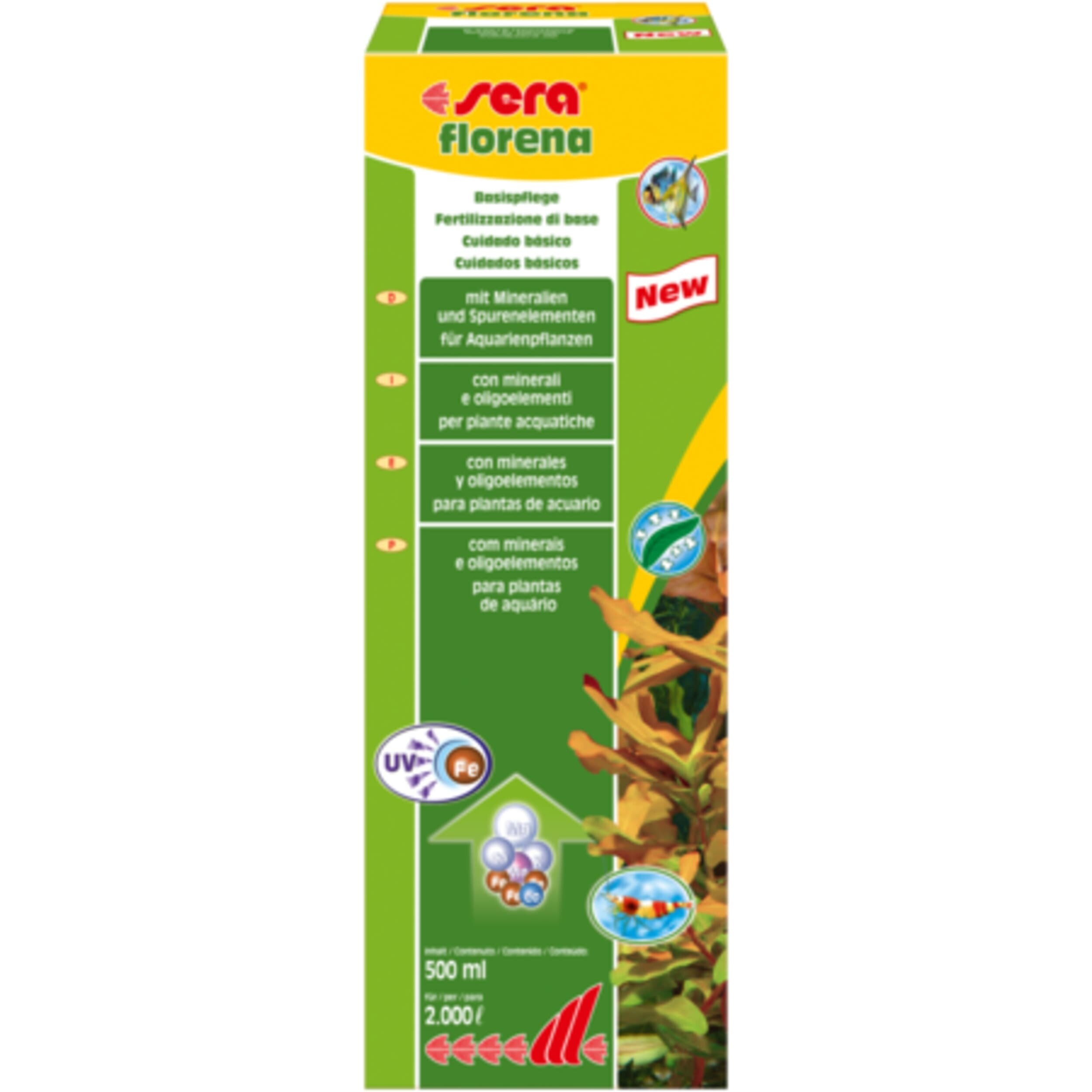 Herbal, Herbs, Plant