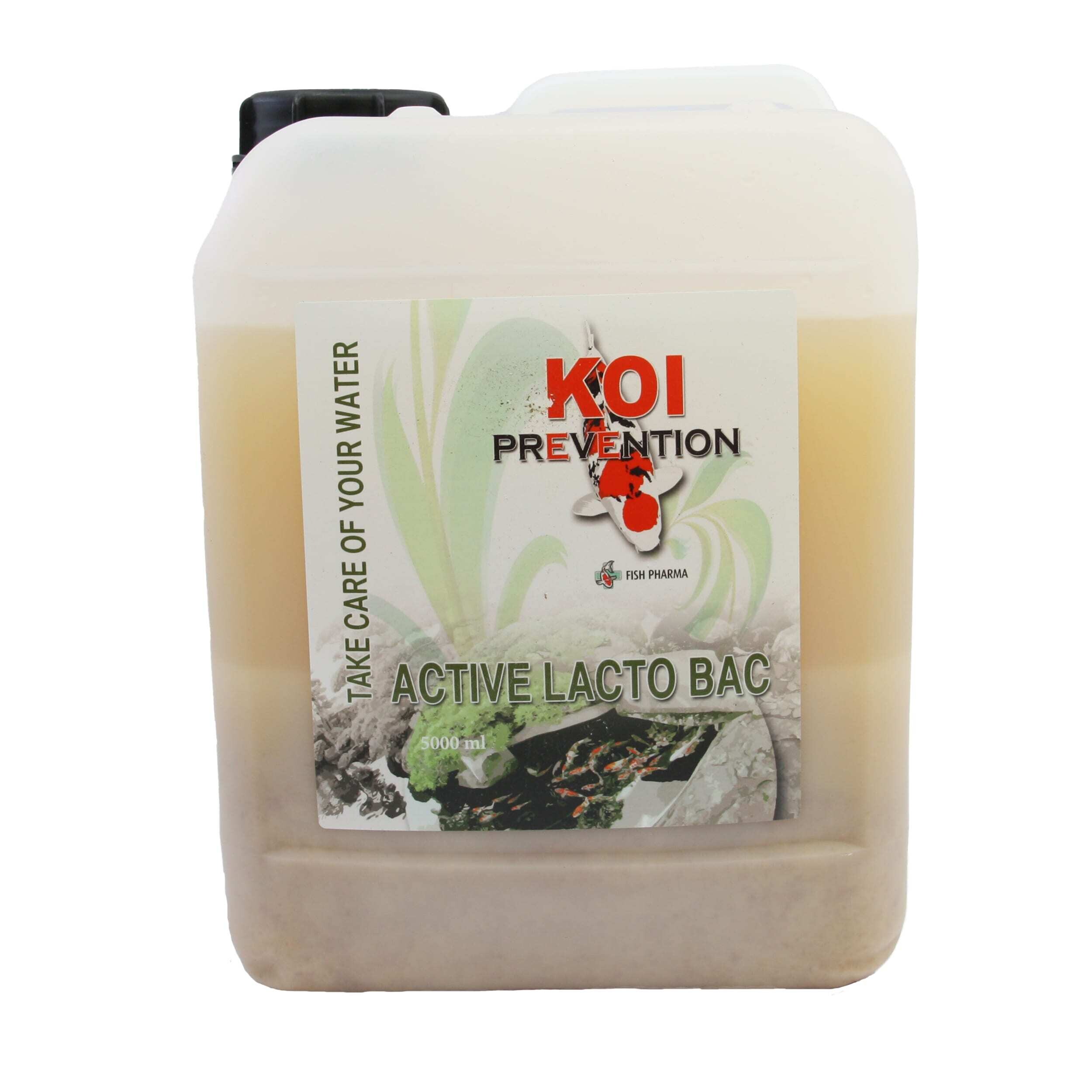 Koi Prevention Lacto Bac. 5 L