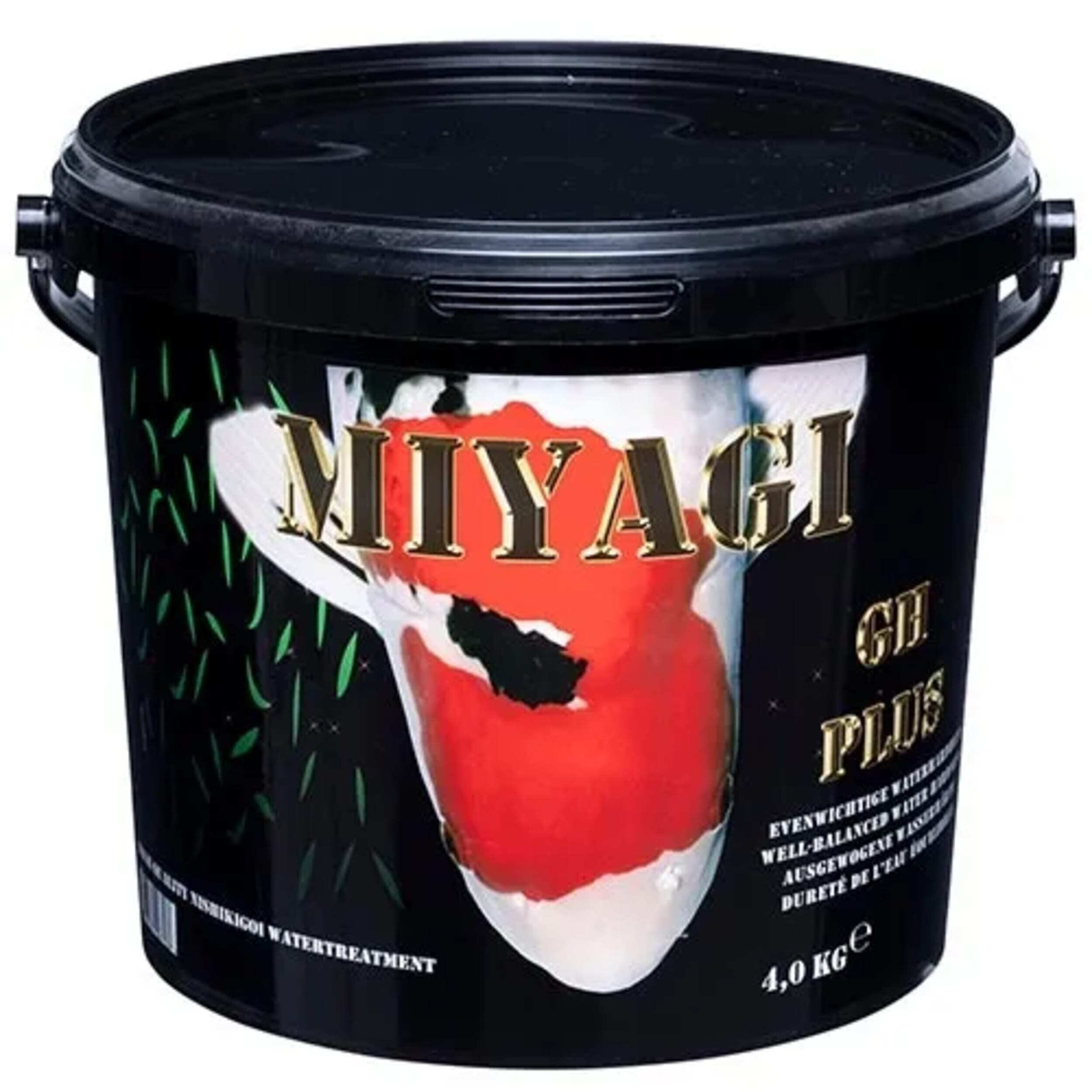 Paint Container