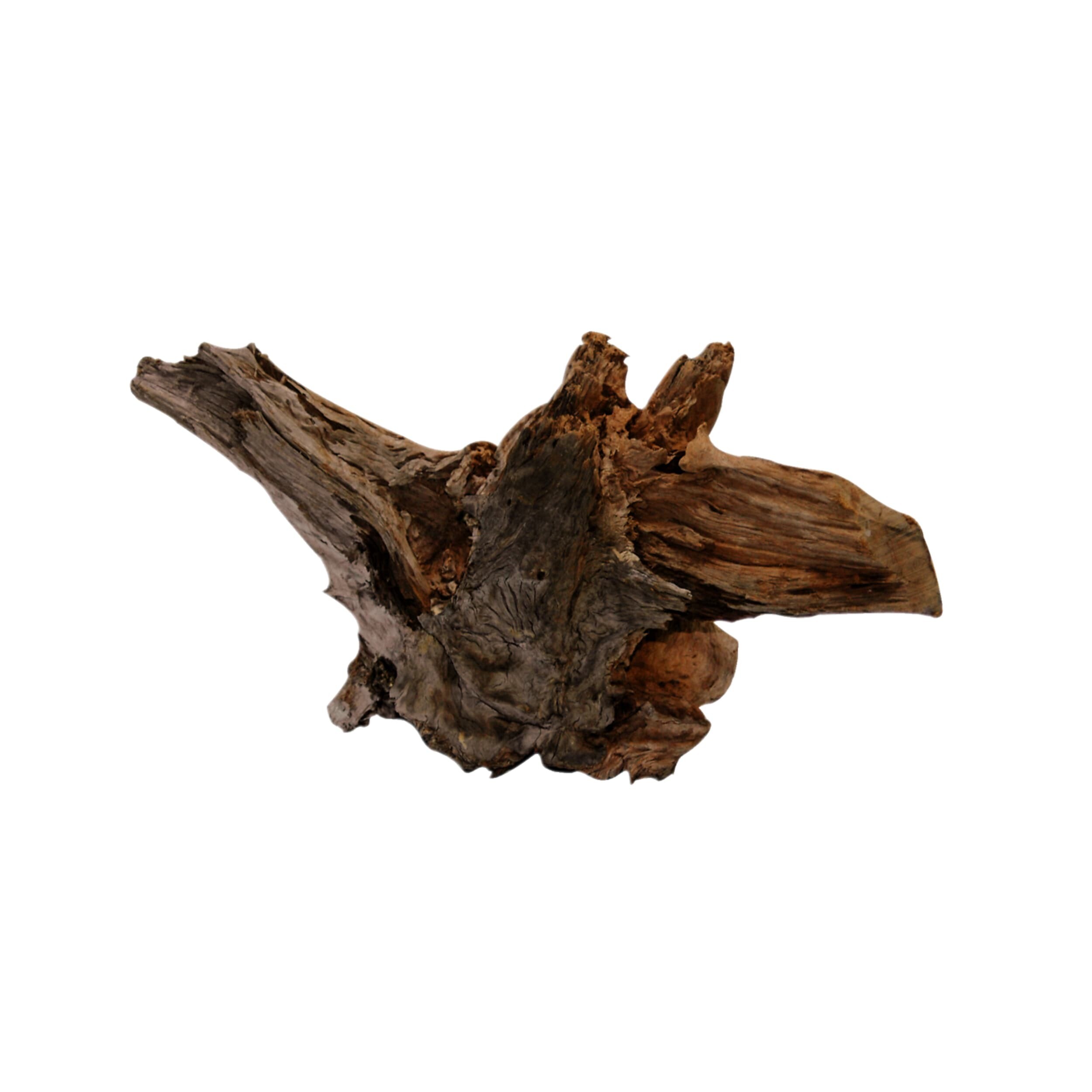 Hout, Plant, Boom, Drijfhout