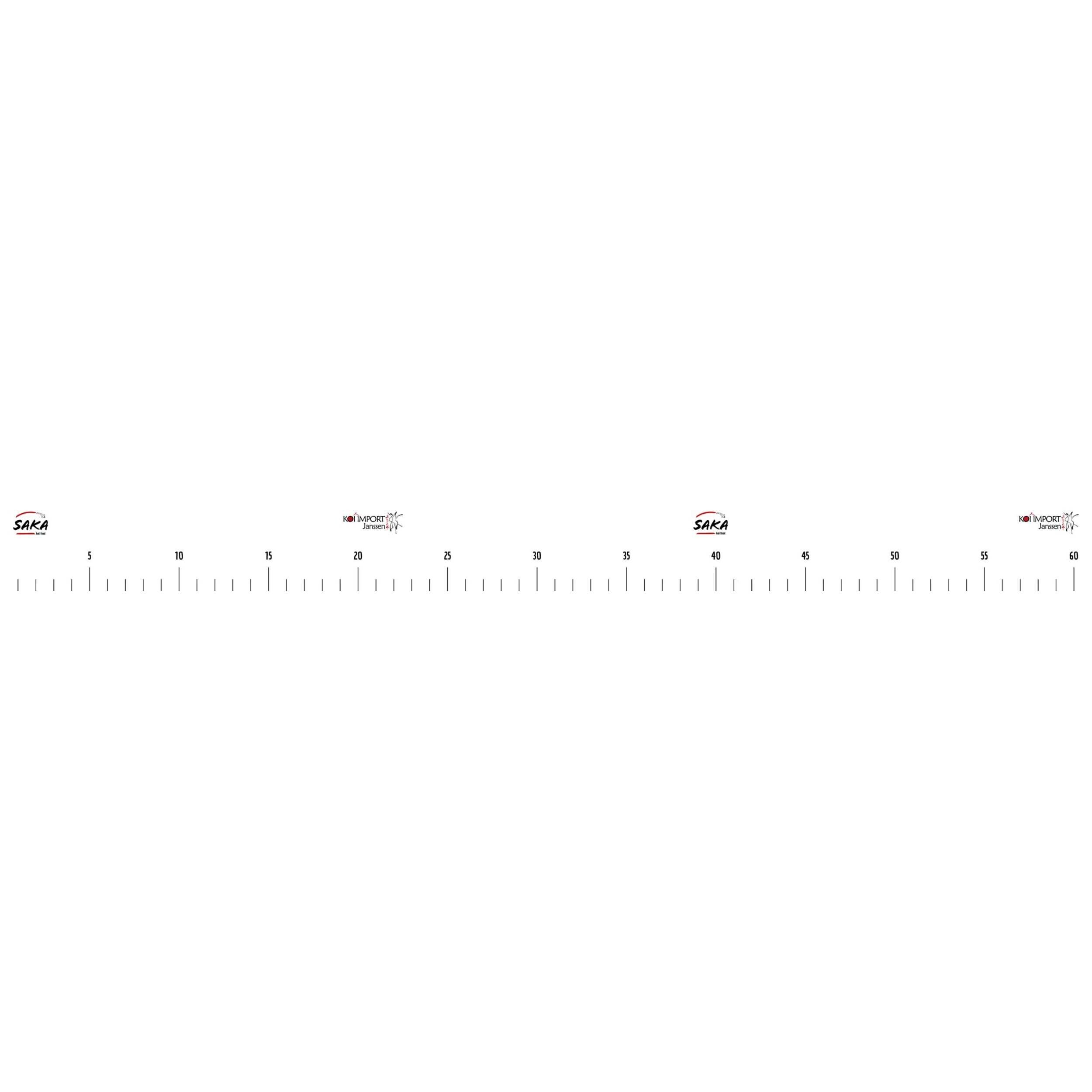 Chart, Plot