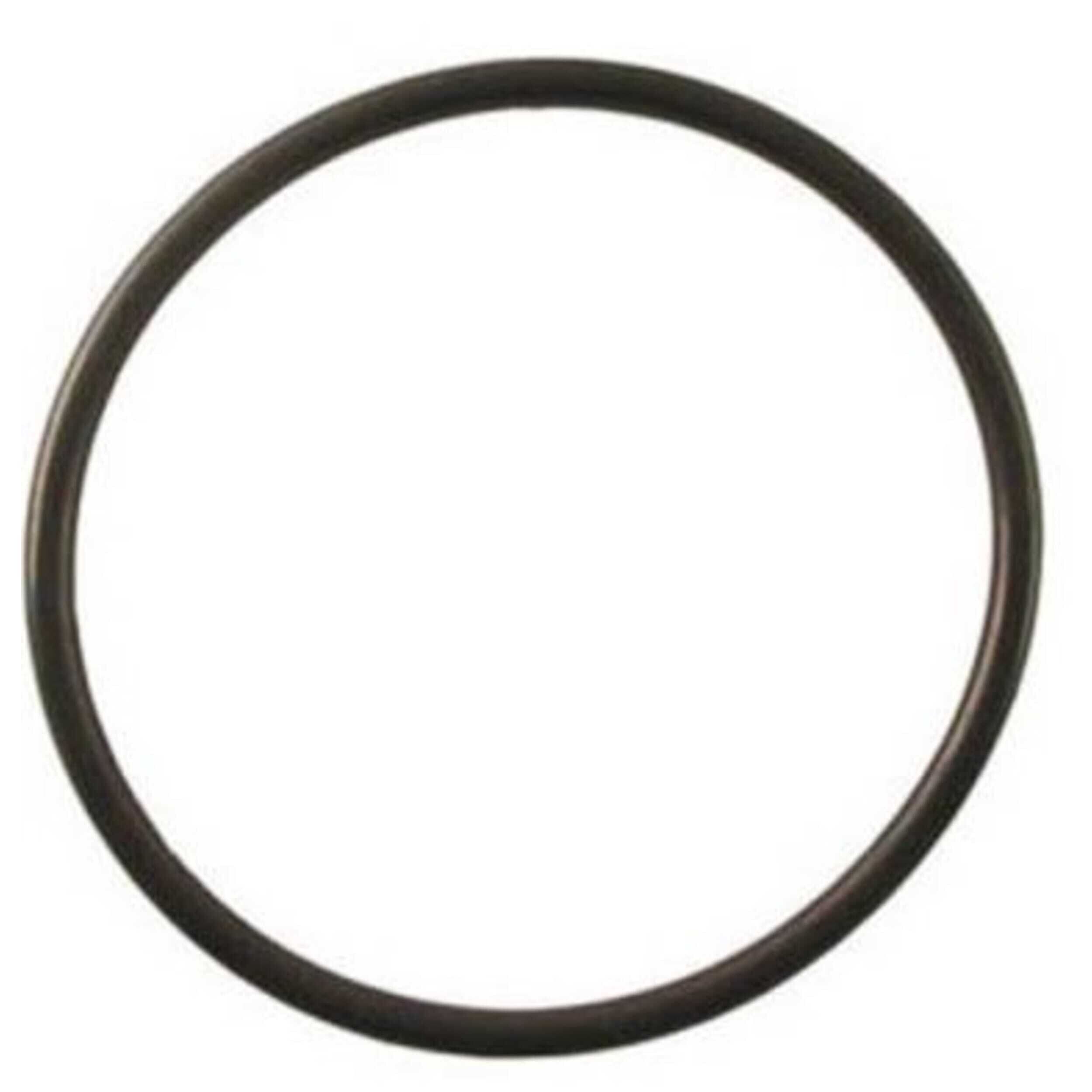 O-ring deksel voor Econobead Beadfilter