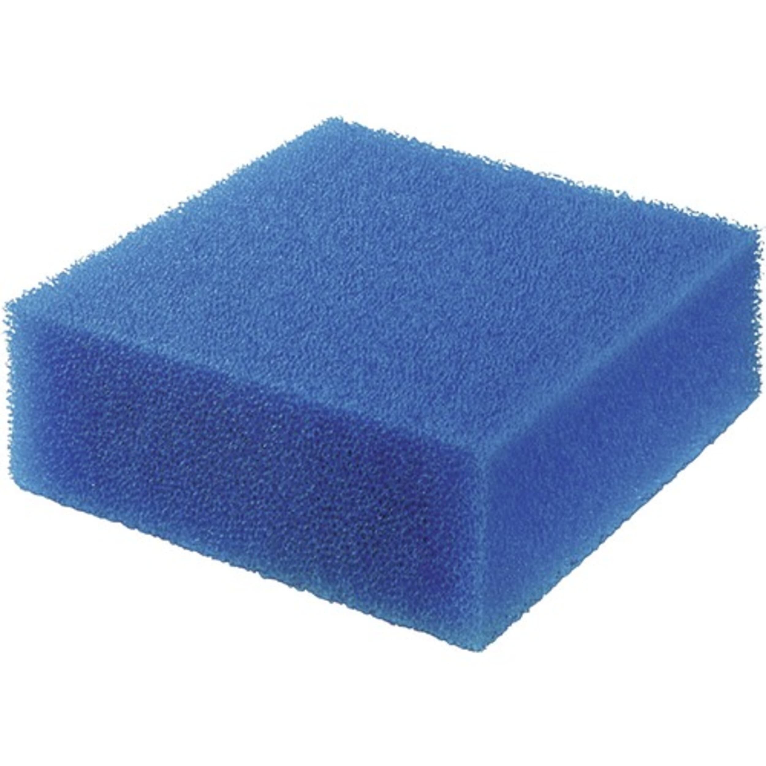 Sponge