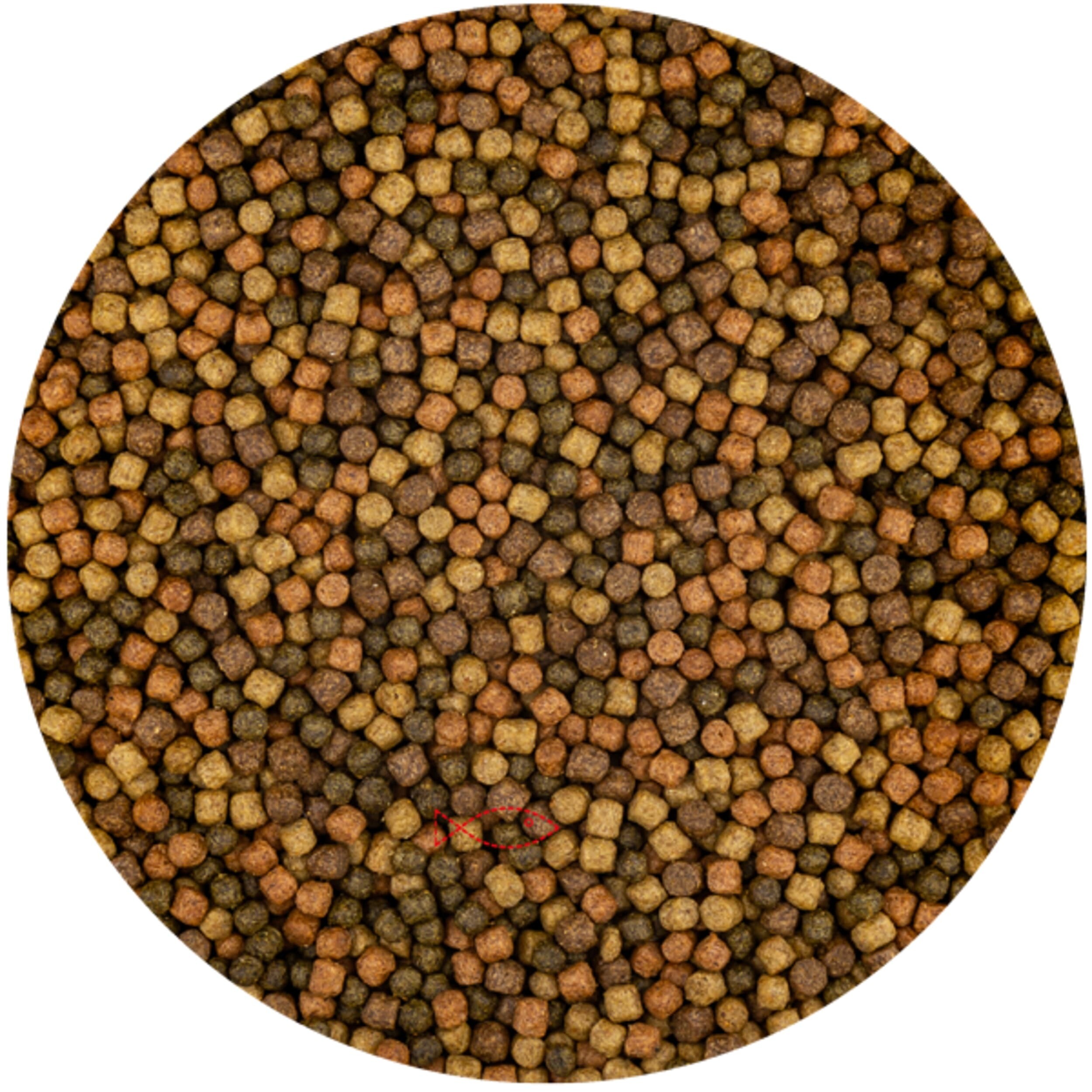 Food, Mustard