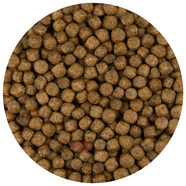 Pond Pellet 6 mm 5 kg