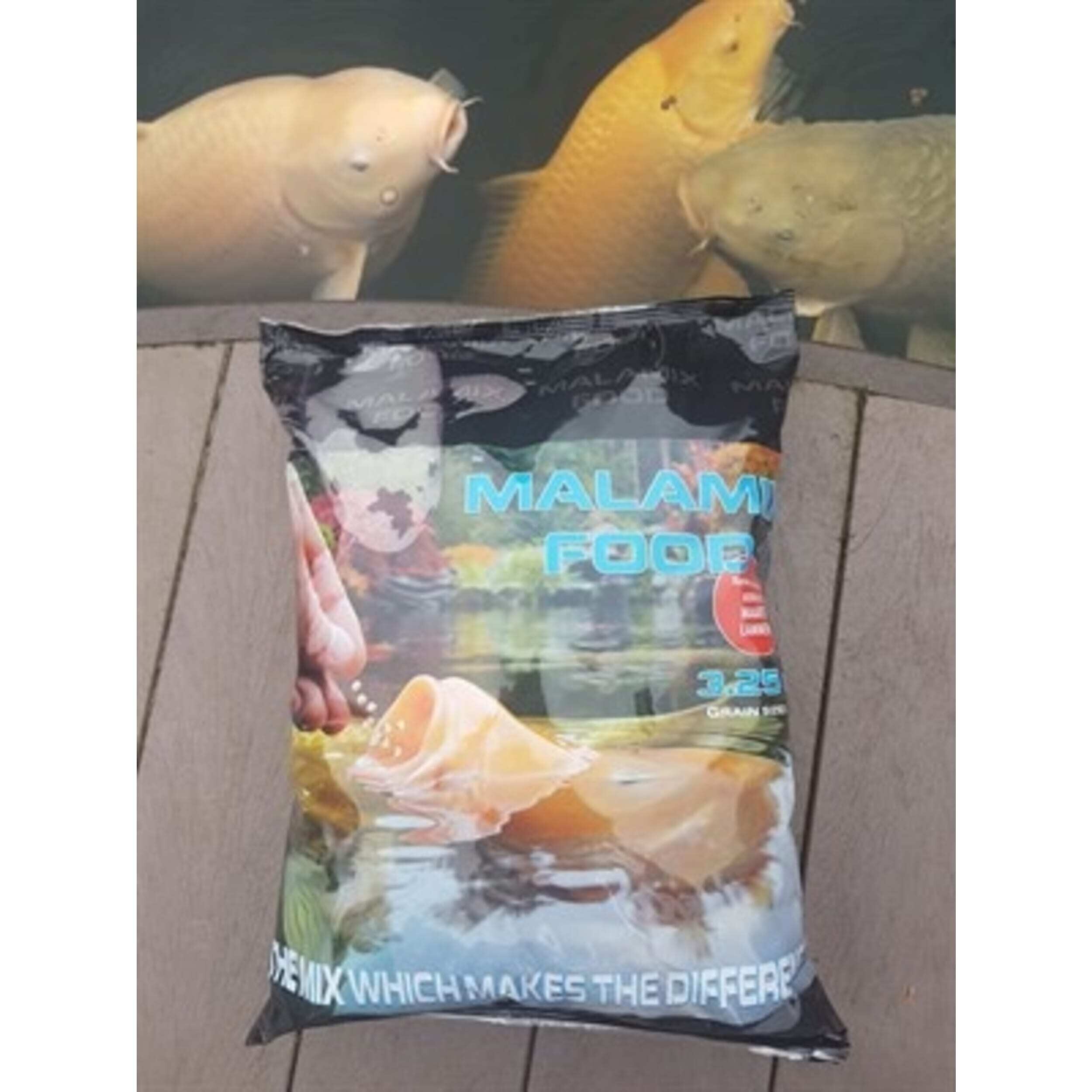 Cushion, Home Decor, Bag, Fish, Sea Life